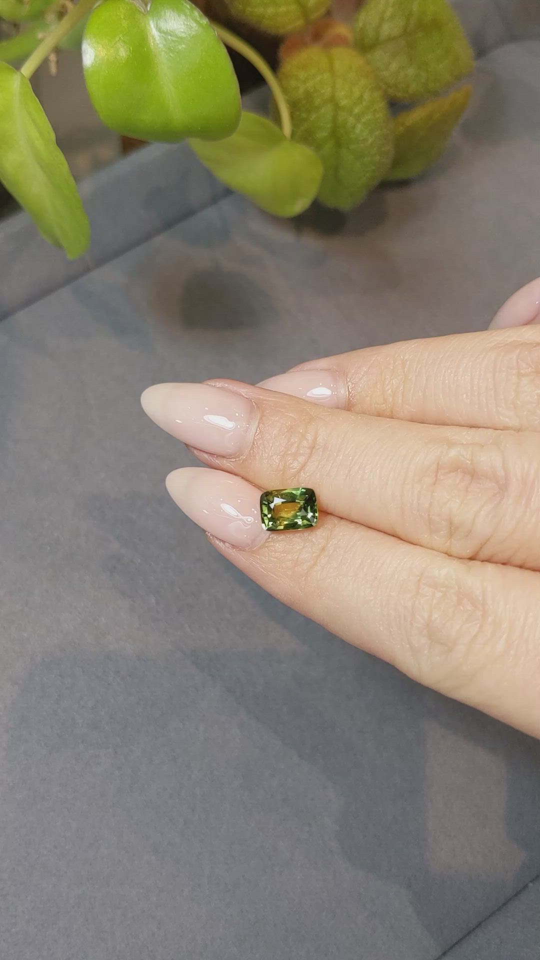 2.02 Ct. Bi Color Sapphire from Ceylon (Sri Lanka) Size Video