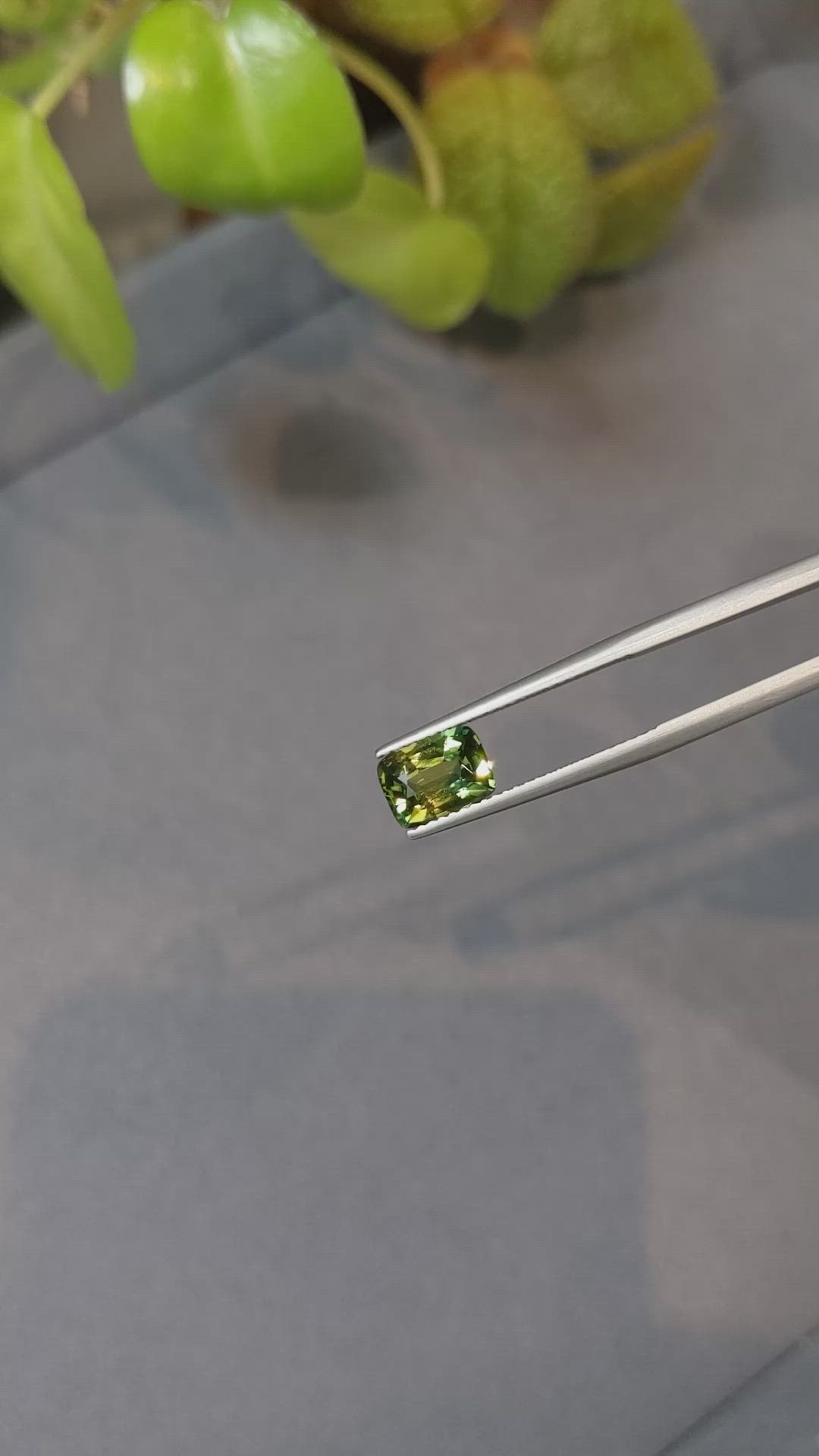 2.02 Ct. Bi Color Sapphire from Ceylon (Sri Lanka) Size Video