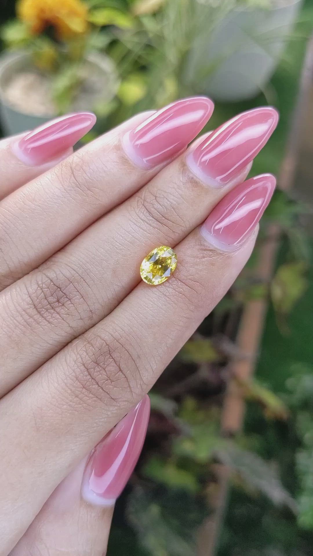 1.65 Ct. Yellow Sapphire from Ceylon (Sri Lanka) Size Video
