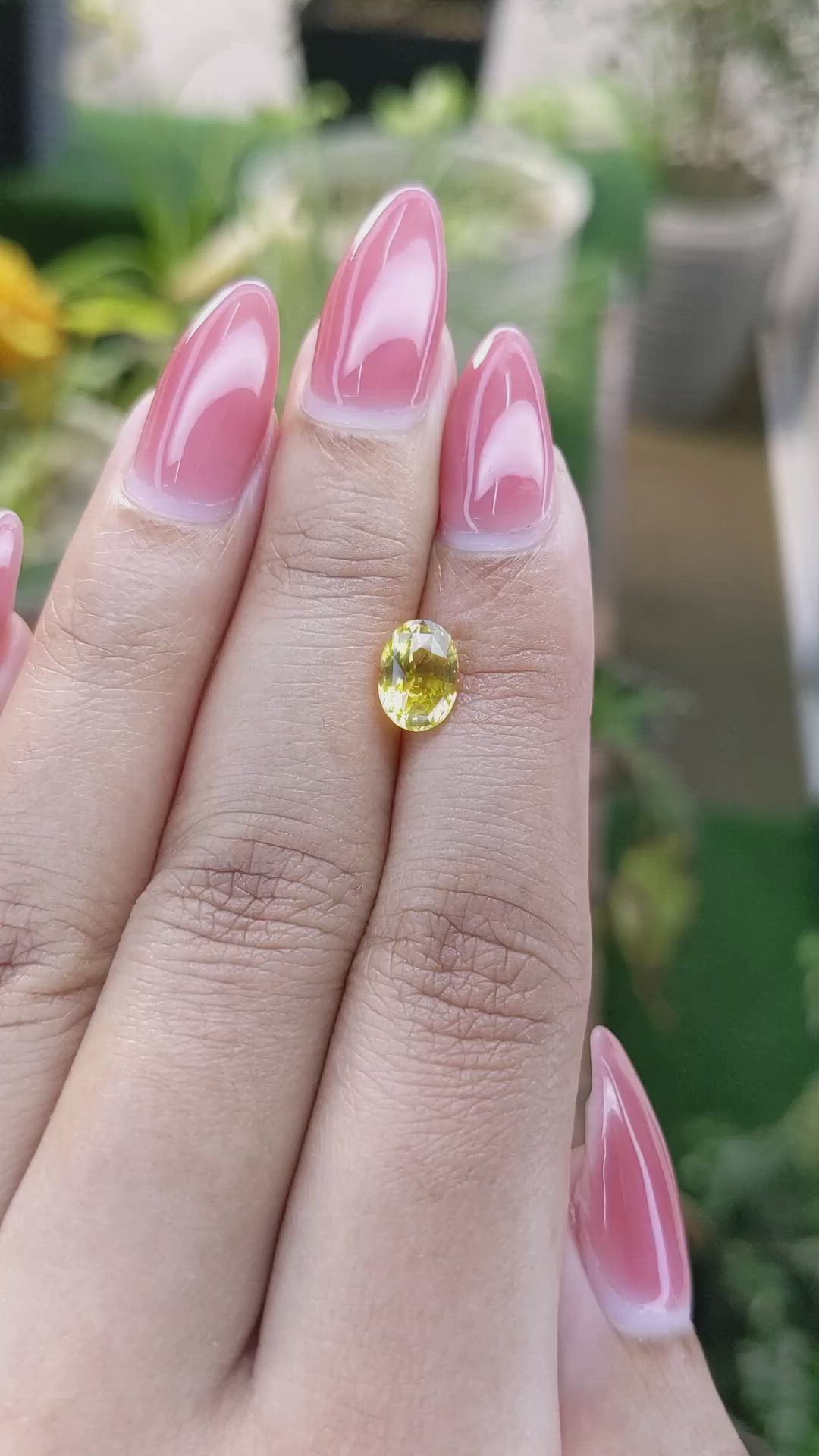 1.65 Ct. Yellow Sapphire from Ceylon (Sri Lanka) Size Video