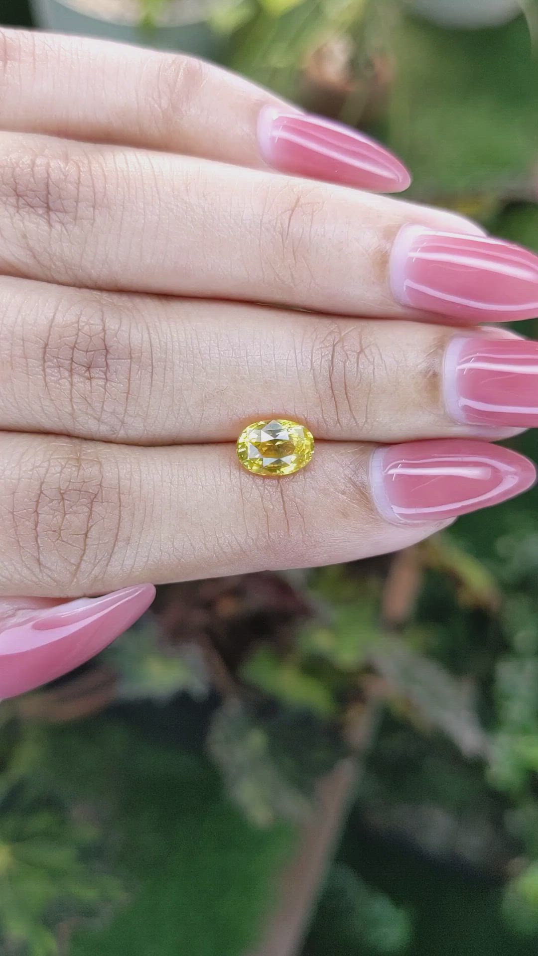 1.65 Ct. Yellow Sapphire from Ceylon (Sri Lanka) Size Video