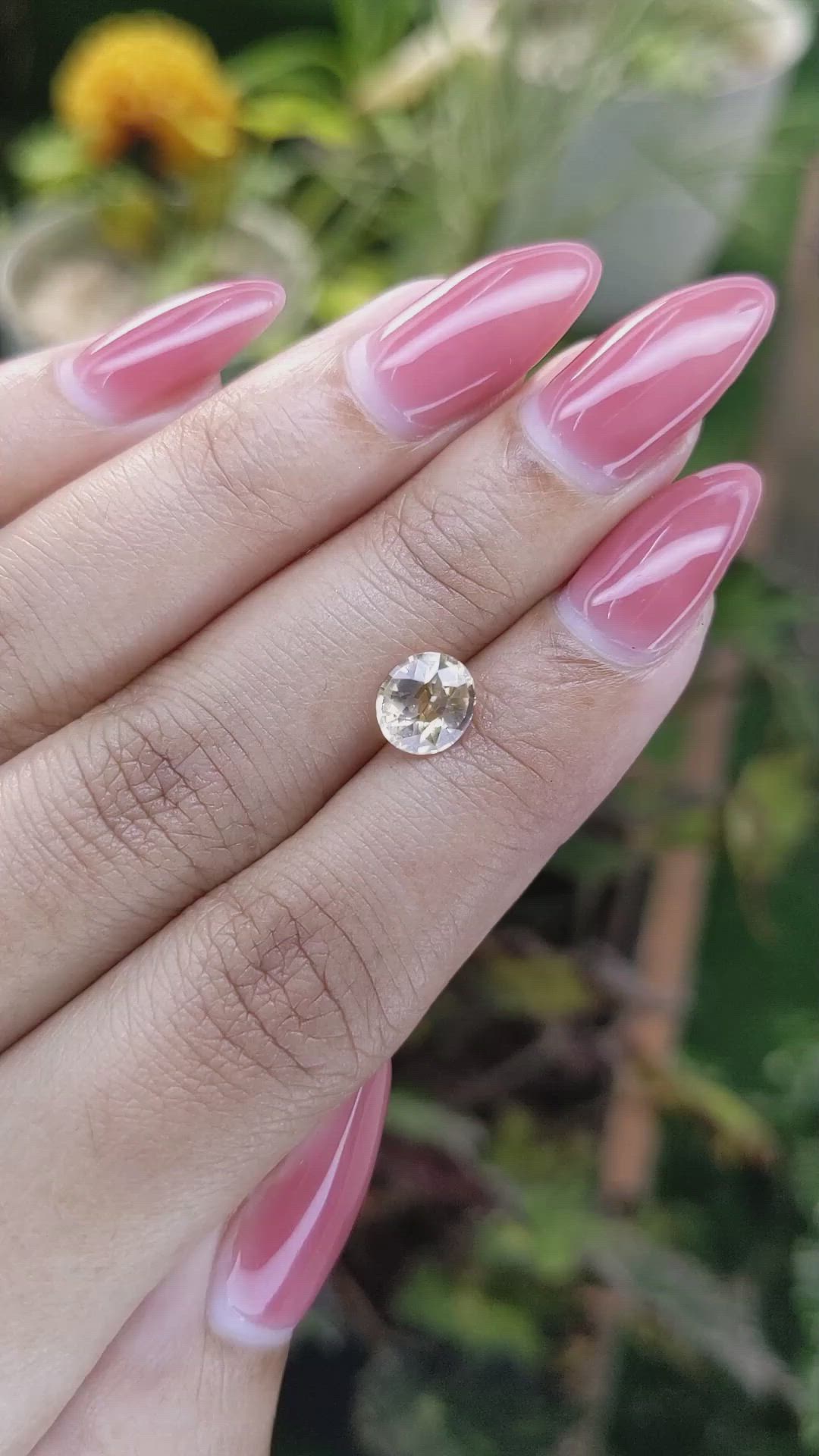 1.49 Ct. Yellowish Brown Sapphire from Ceylon (Sri Lanka) Size Video