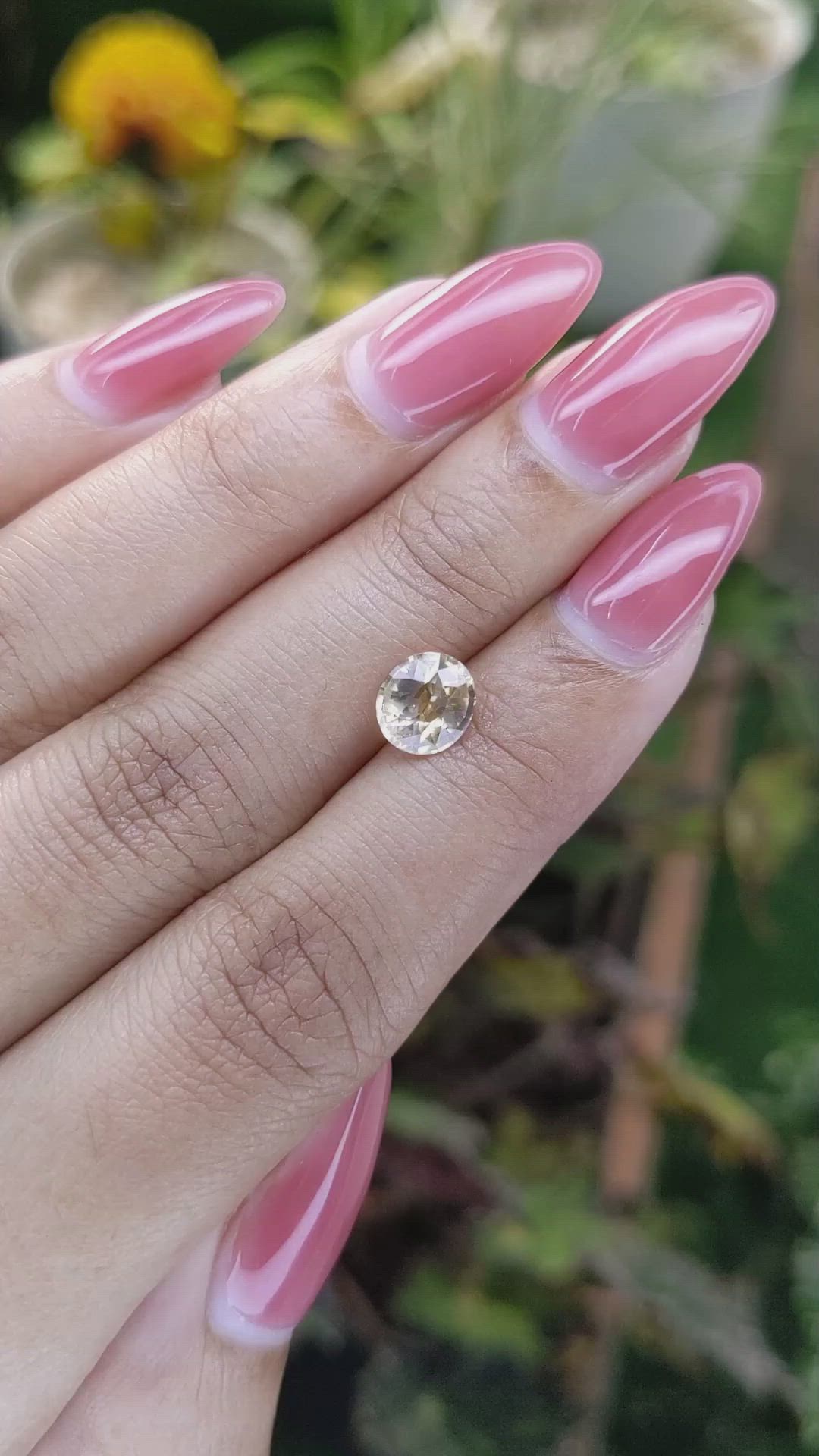 1.49 Ct. Yellowish Brown Sapphire from Ceylon (Sri Lanka) Size Video