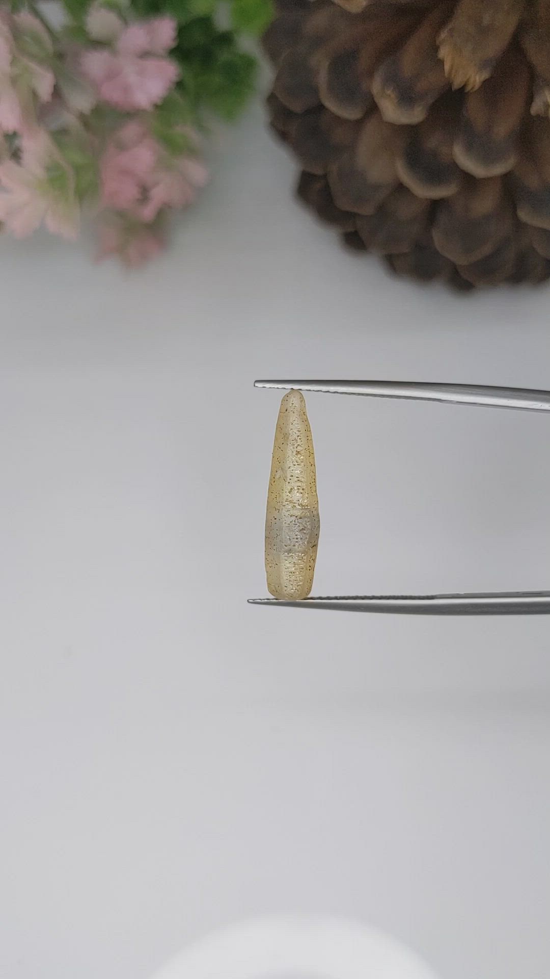 6.59 Ct. Yellow Sapphire Crystal from Ceylon (Sri Lanka) Size Video