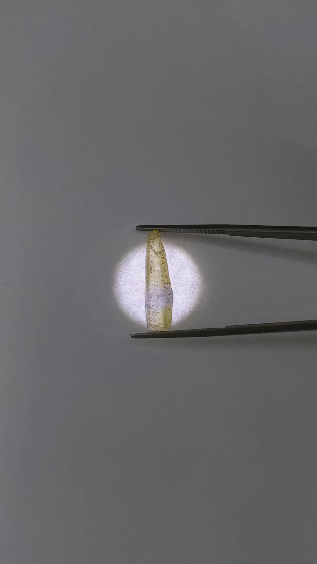 6.59 Ct. Yellow Sapphire Crystal from Ceylon (Sri Lanka) Size Video