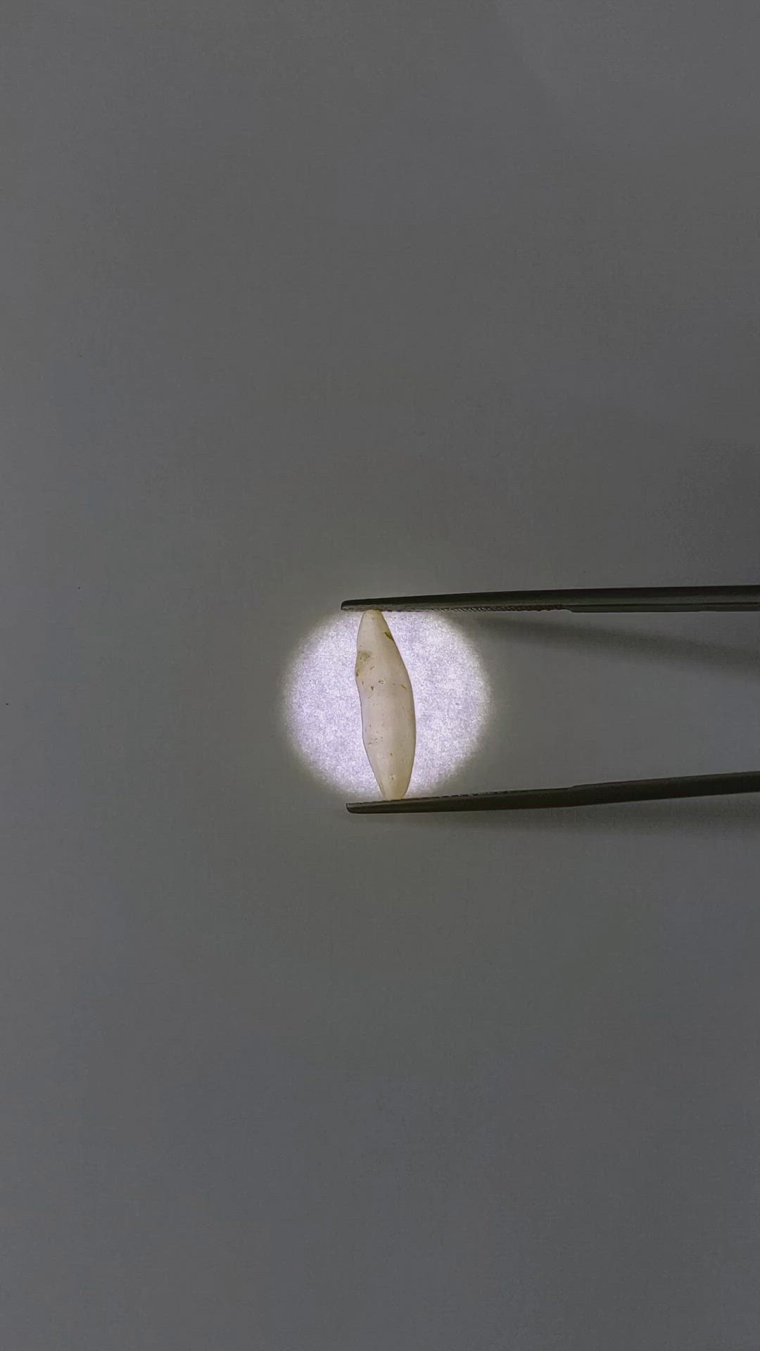 3.75 Ct. Yellow Sapphire Crystal from Ceylon (Sri Lanka) Size Video