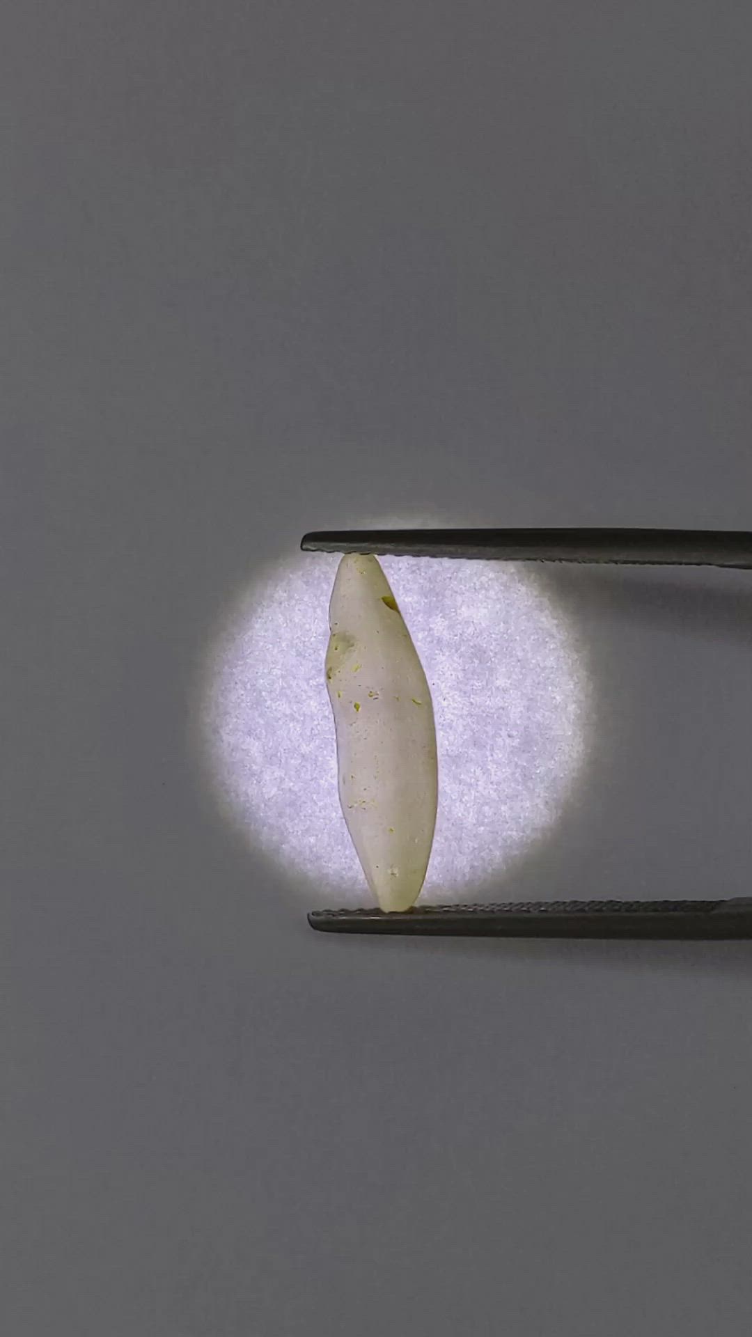 3.75 Ct. Yellow Sapphire Crystal from Ceylon (Sri Lanka) Size Video