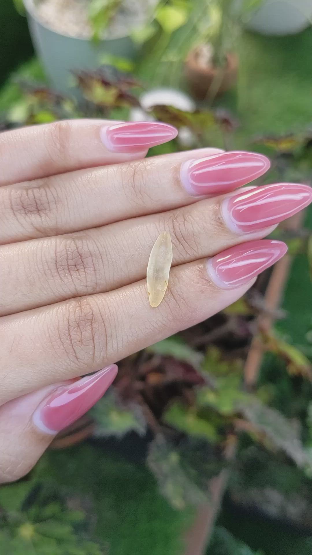 3.75 Ct. Yellow Sapphire Crystal from Ceylon (Sri Lanka) Size Video