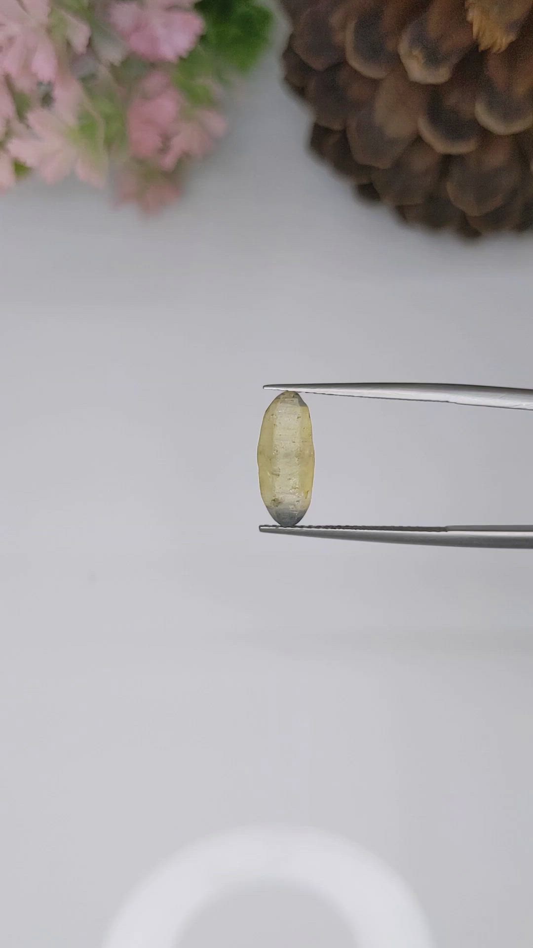 4.51 Ct. Bi Color Sapphire Crystal from Ceylon (Sri Lanka) Size Video