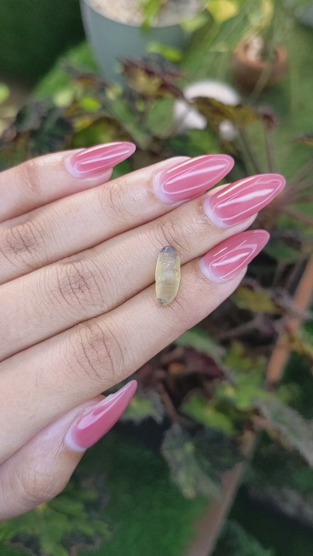 4.51 Ct. Bi Color Sapphire Crystal from Ceylon (Sri Lanka) Size Video