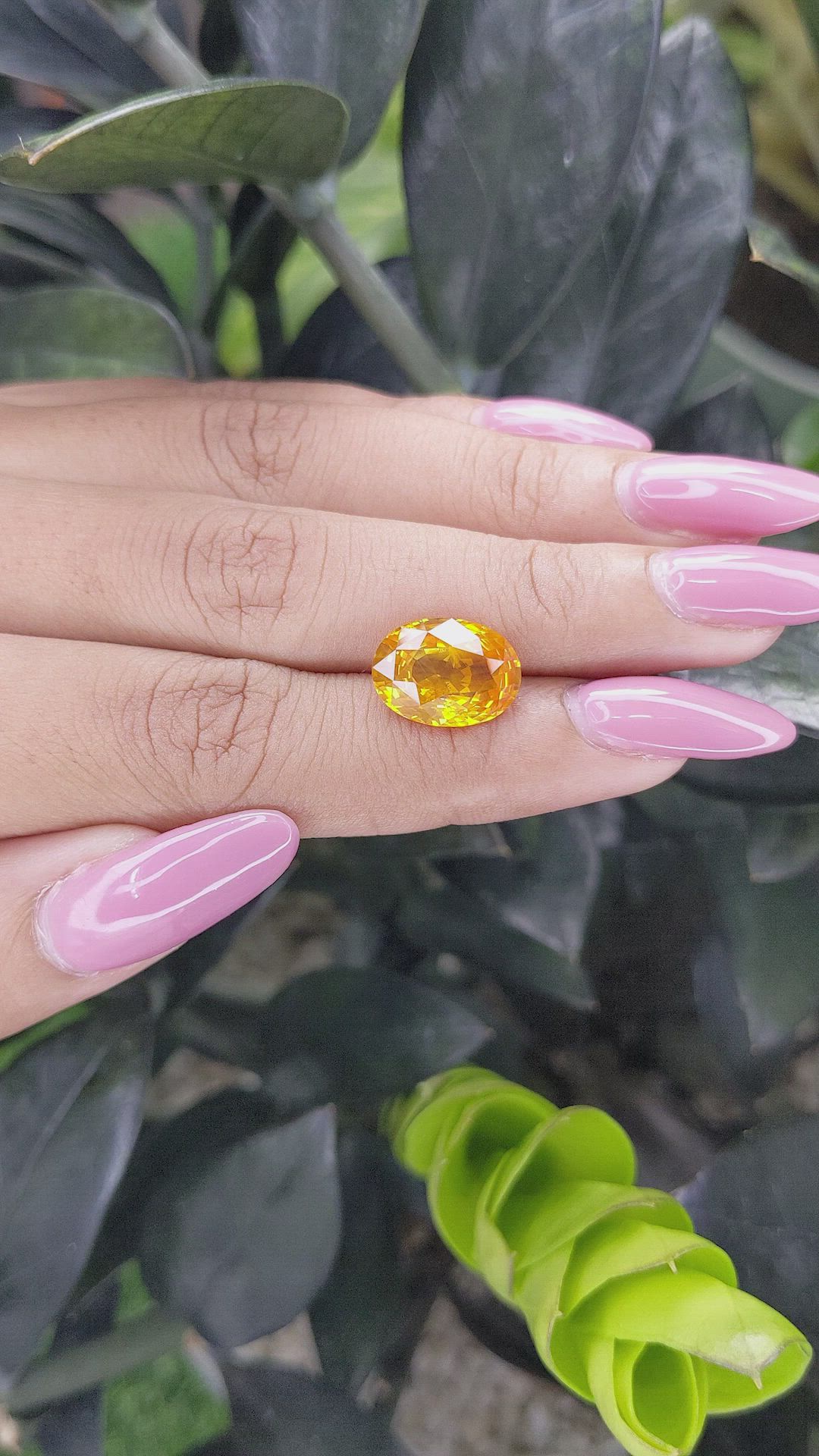 7.09 Ct. Yellowish Orange Sapphire from Ceylon (Sri Lanka) Size Video