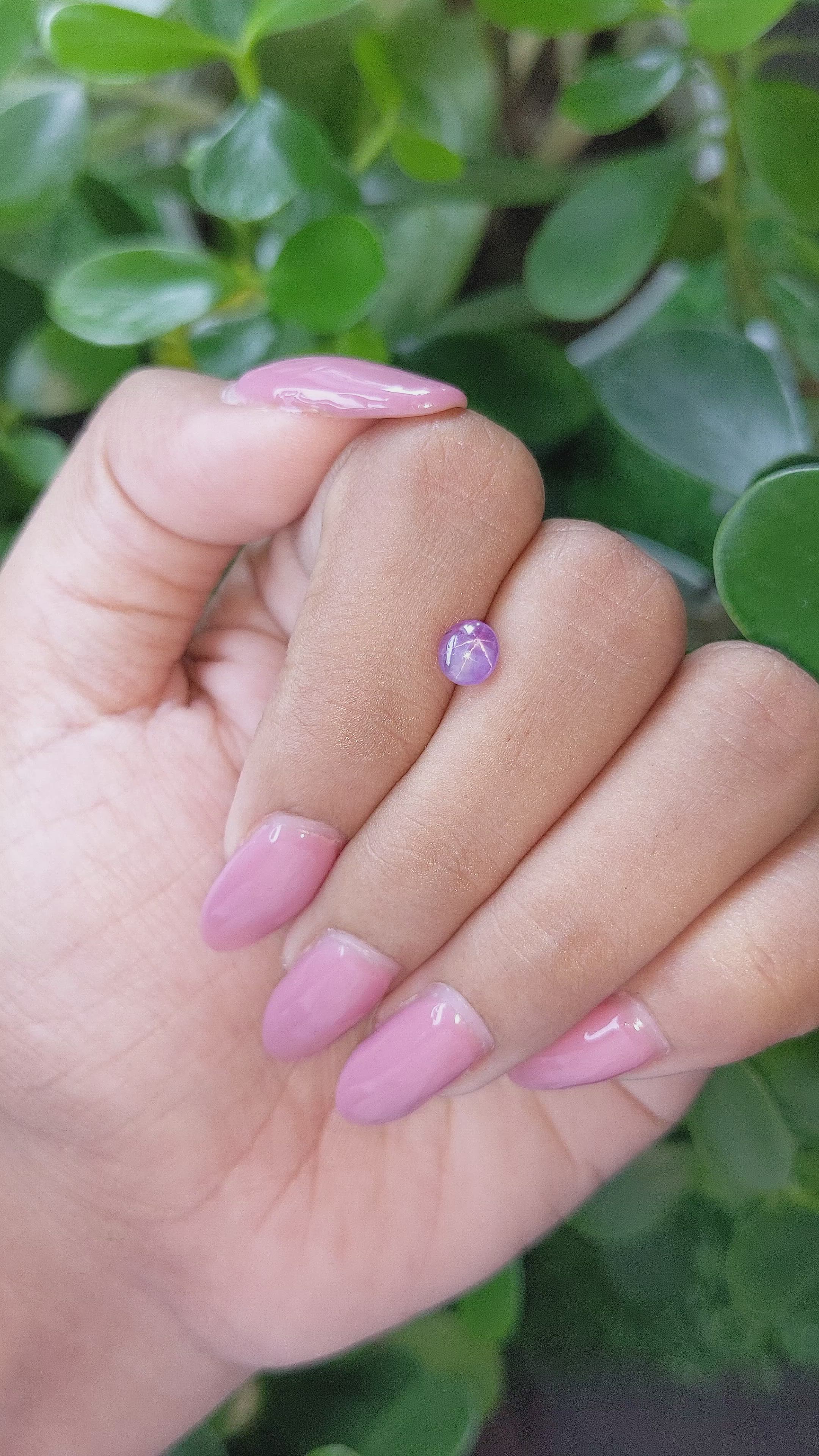 1.23 Ct. Purple Star Sapphire from Ceylon (Sri Lanka) Size Video