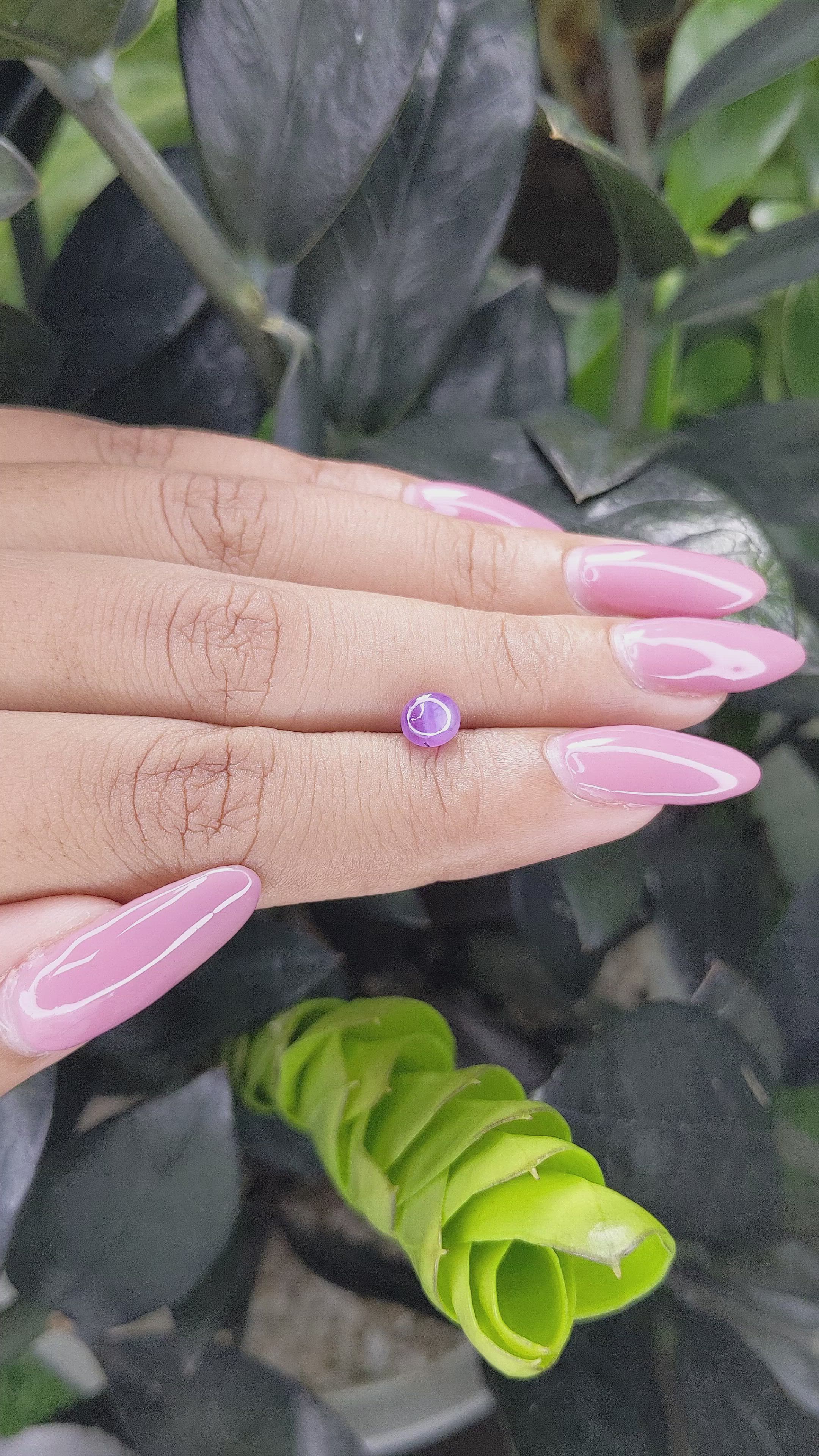 1.23 Ct. Purple Star Sapphire from Ceylon (Sri Lanka) Size Video