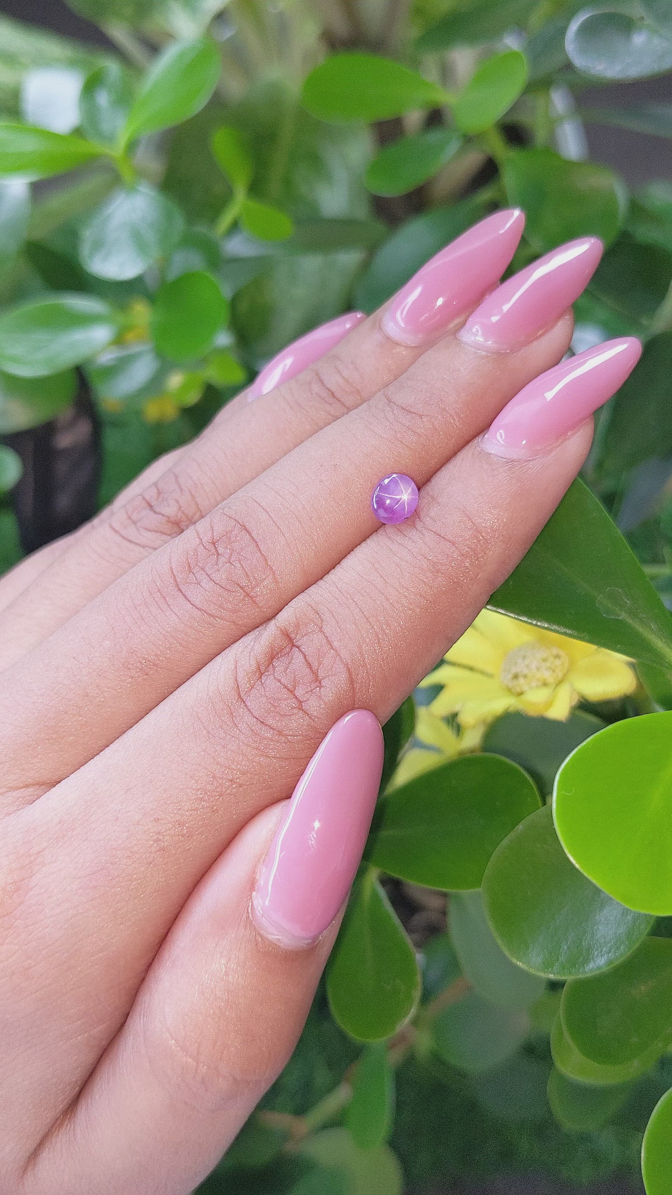 1.23 Ct. Purple Star Sapphire from Ceylon (Sri Lanka) Size Video