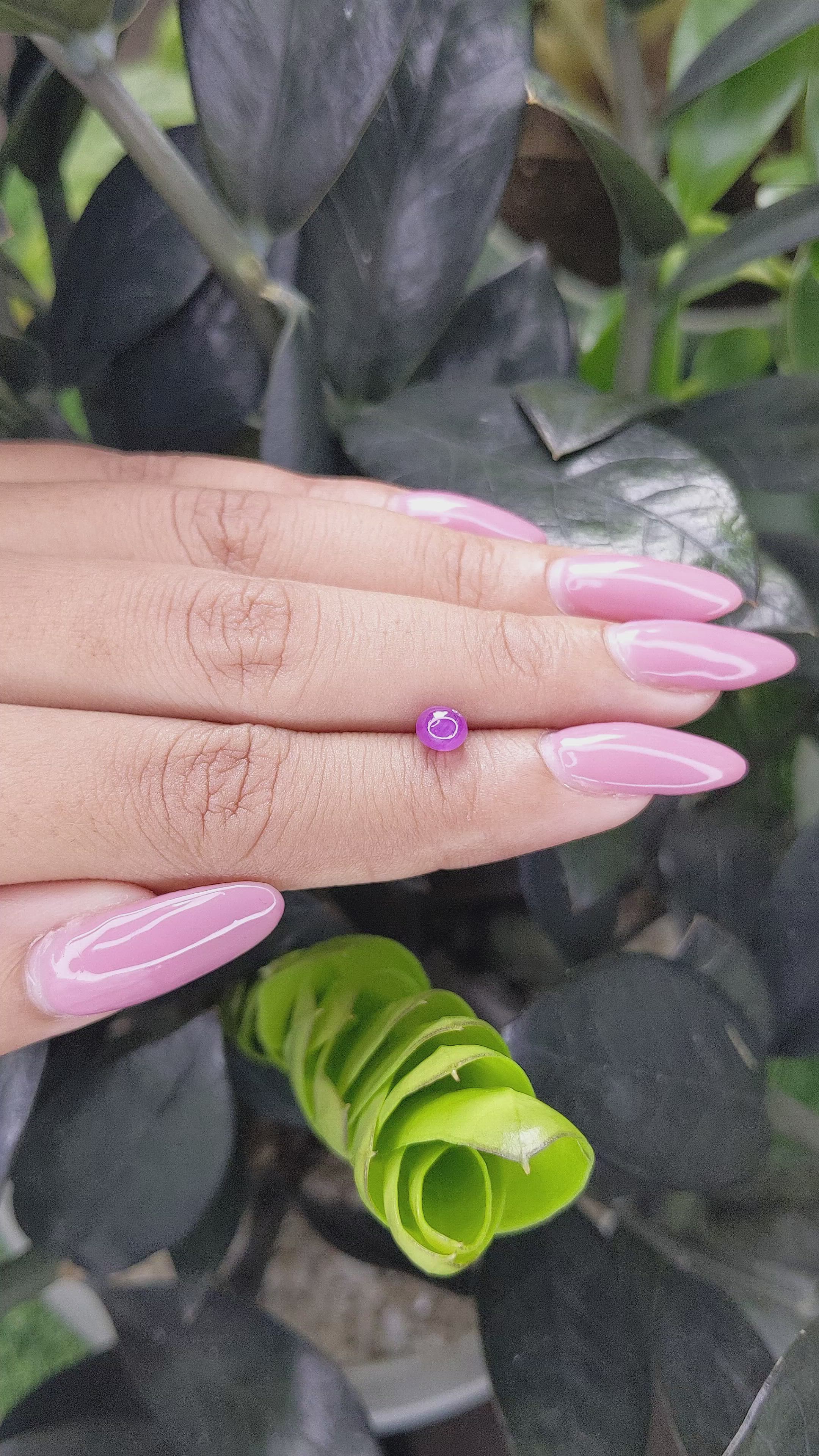 1.12 Ct. Purple Star Sapphire from Ceylon (Sri Lanka) Size Video