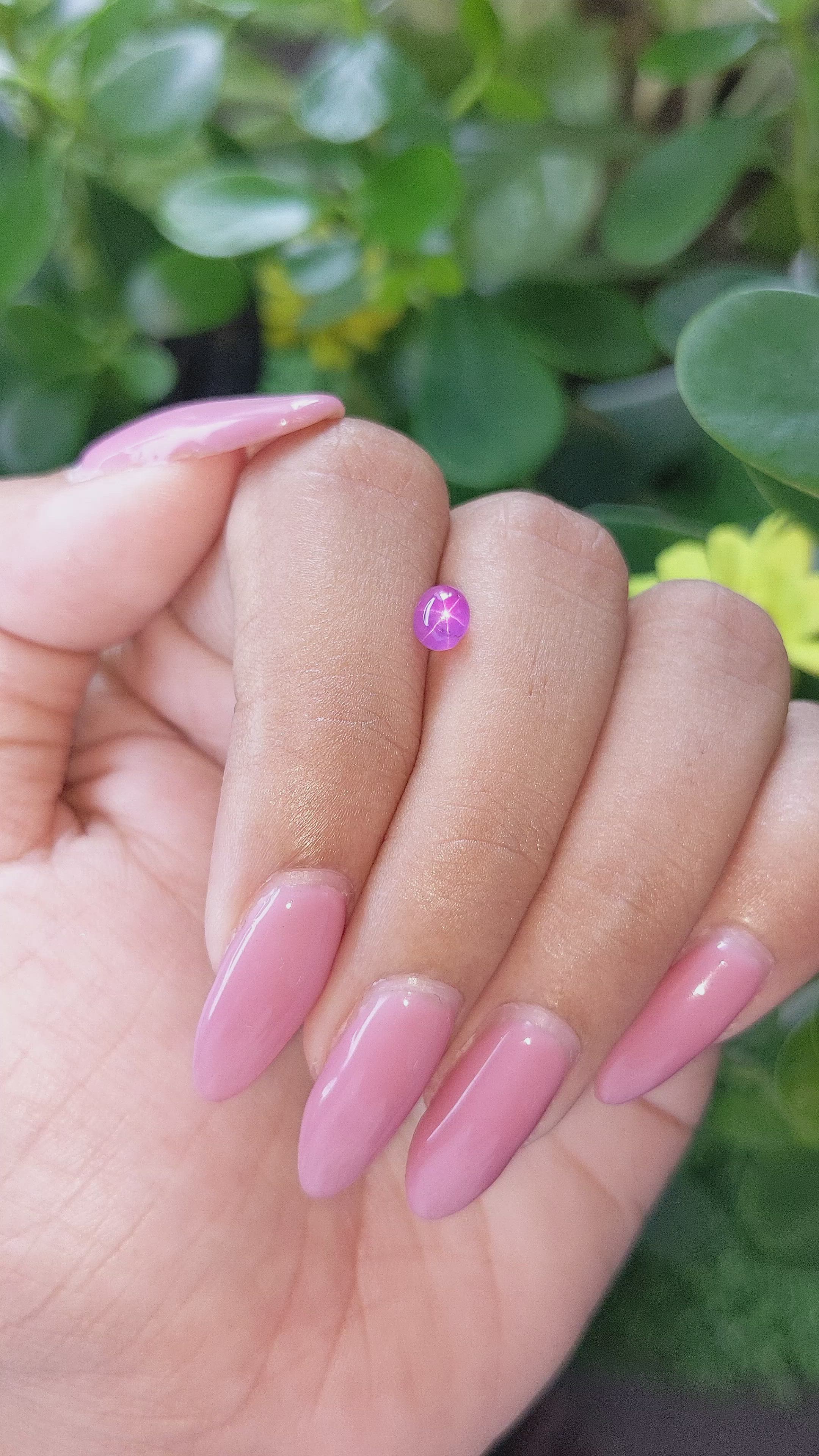 1.12 Ct. Purple Star Sapphire from Ceylon (Sri Lanka) Size Video