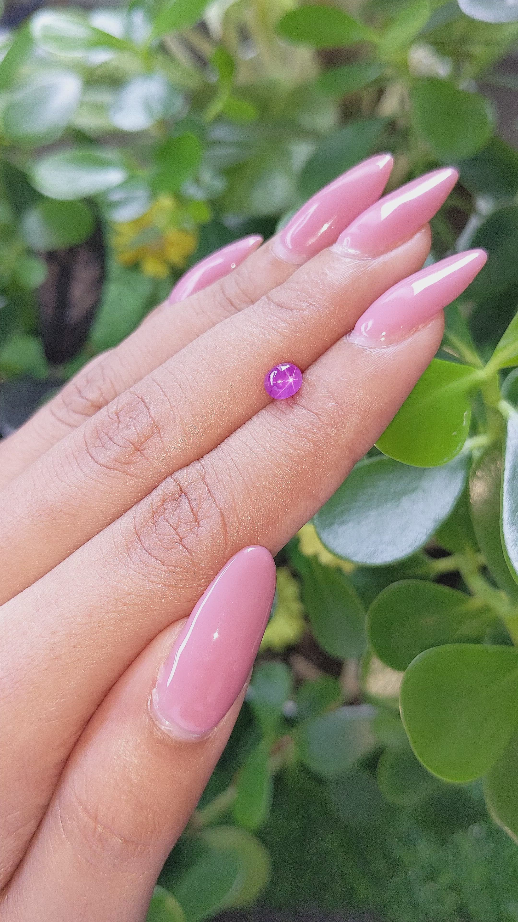 1.12 Ct. Purple Star Sapphire from Ceylon (Sri Lanka) Size Video