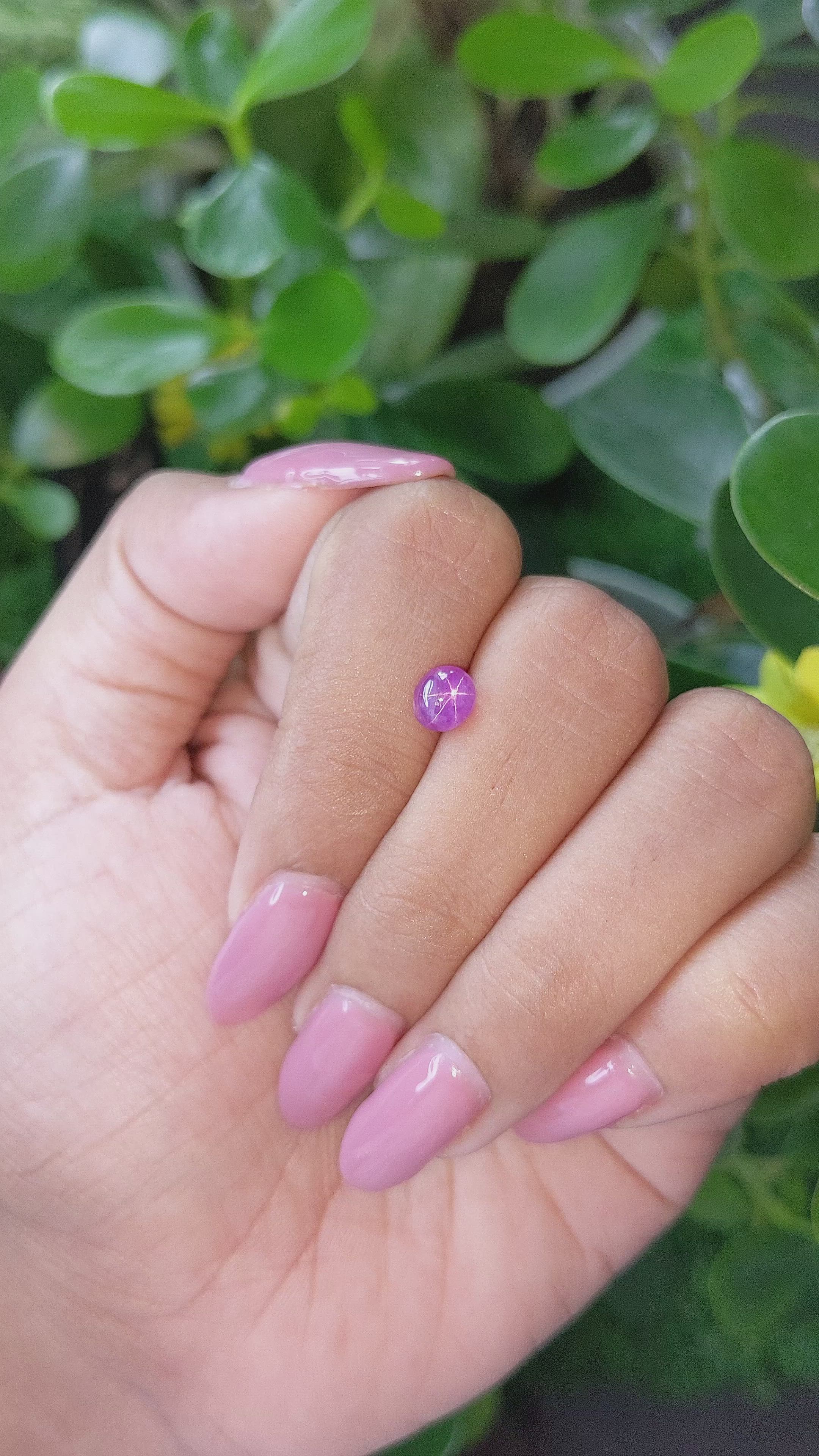 1.32 Ct. Pinkish Purple Star Sapphire from Ceylon (Sri Lanka) Size Video