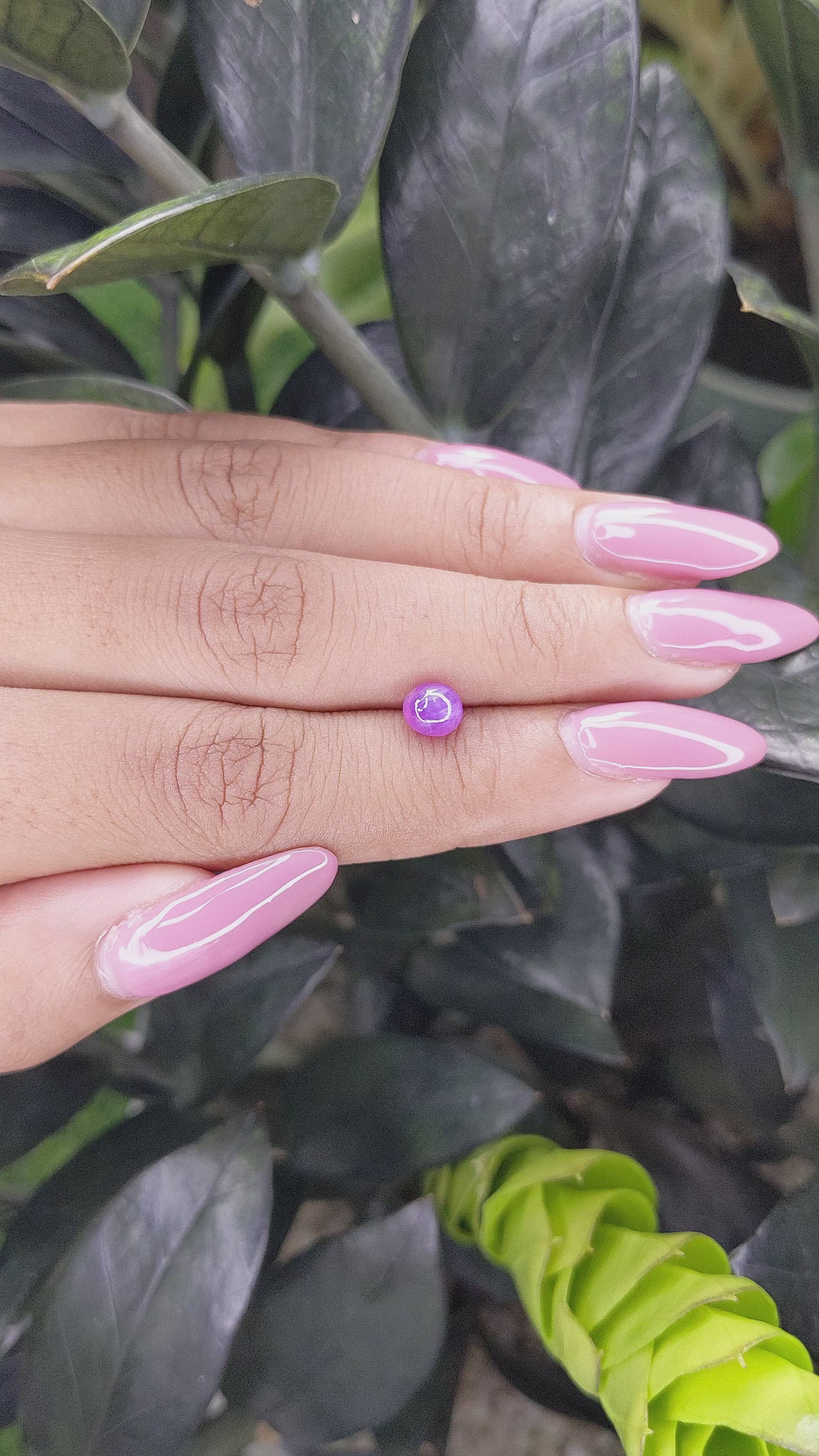 1.32 Ct. Pinkish Purple Star Sapphire from Ceylon (Sri Lanka) Size Video