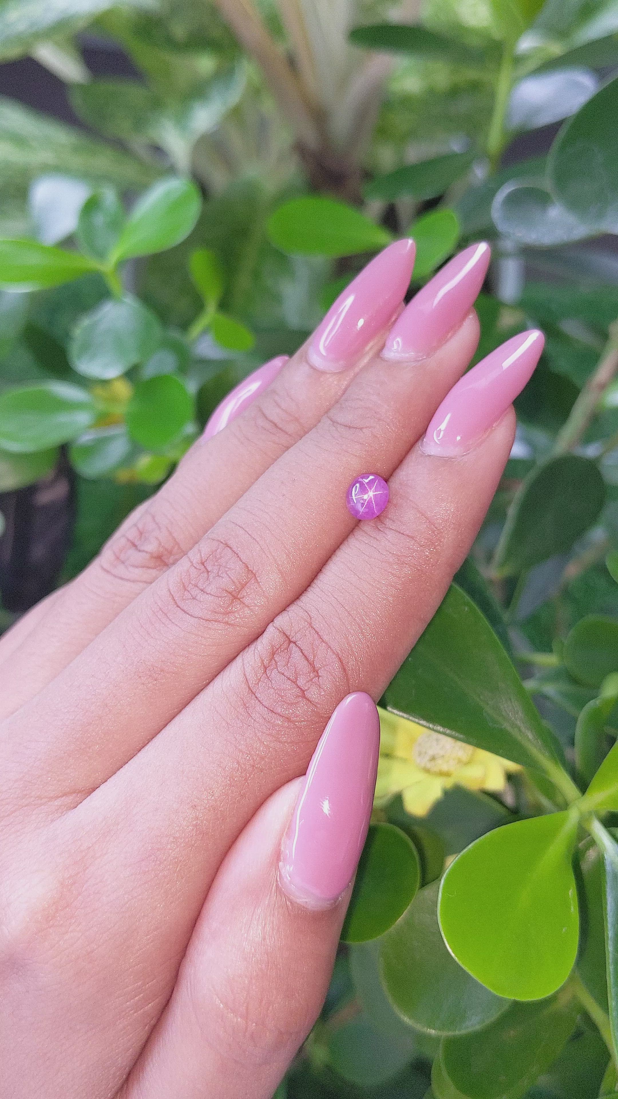 1.32 Ct. Pinkish Purple Star Sapphire from Ceylon (Sri Lanka) Size Video