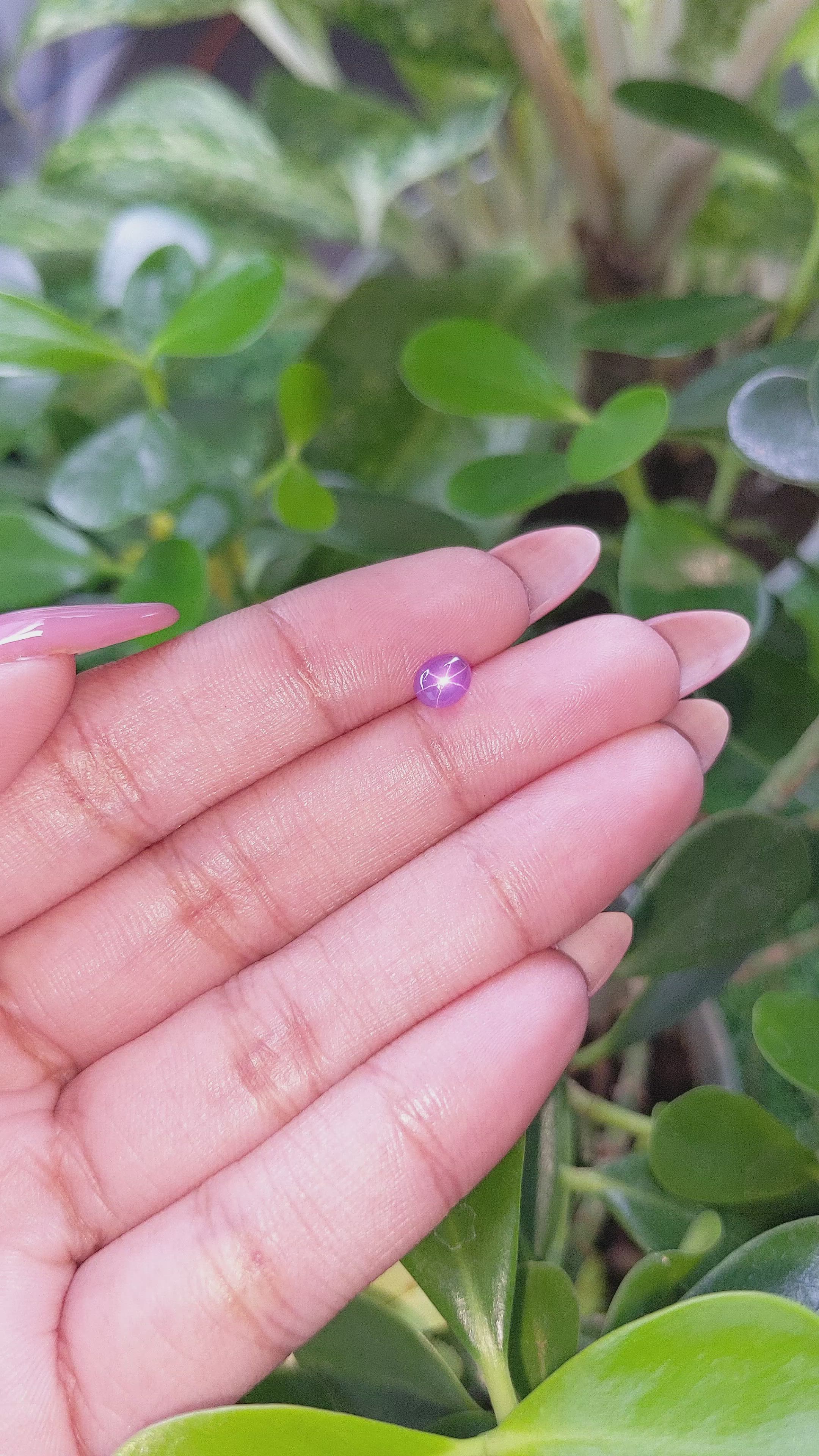 0.83 Ct. Purple Star Sapphire from Ceylon (Sri Lanka) Size Video
