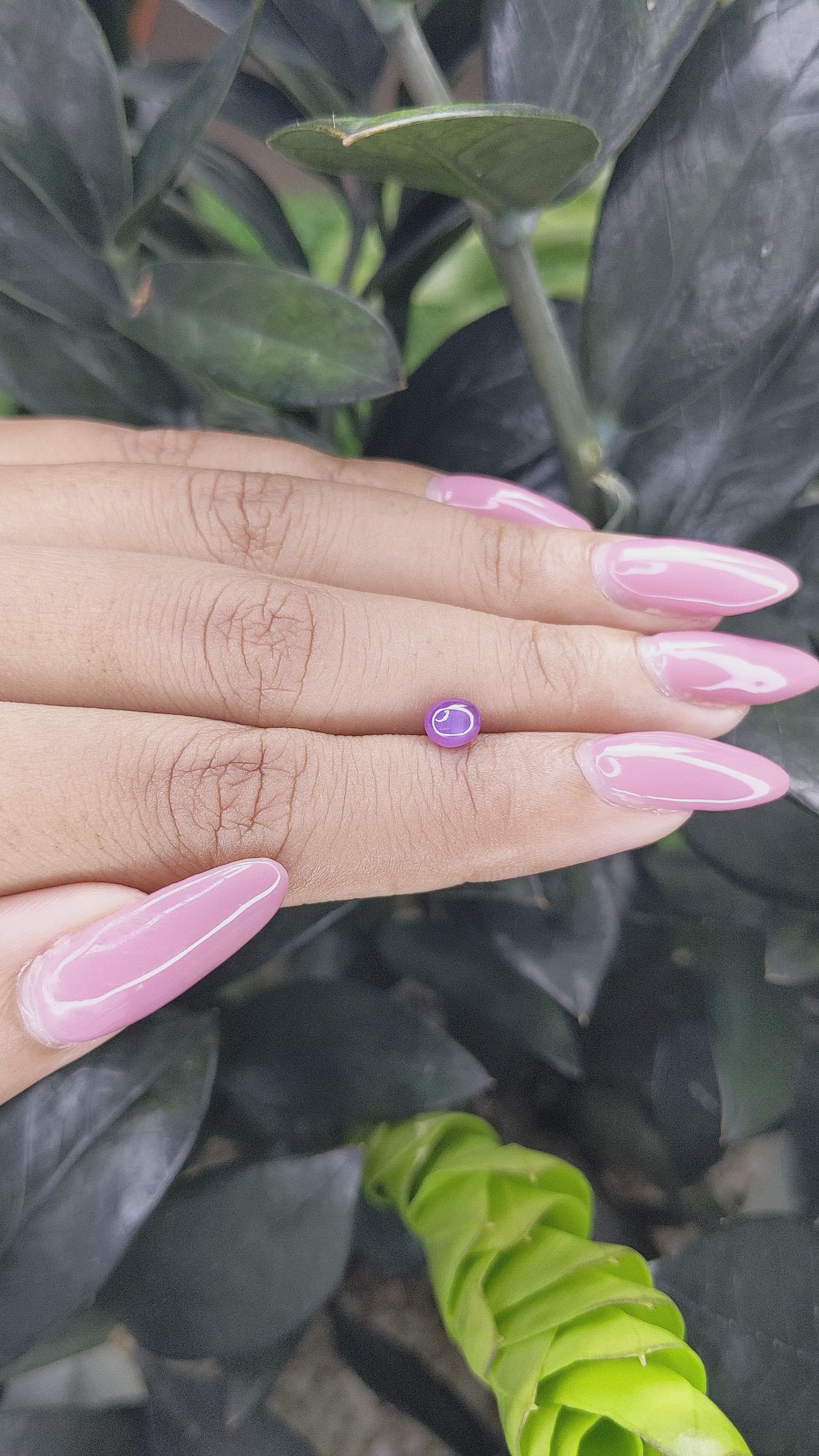 0.83 Ct. Purple Star Sapphire from Ceylon (Sri Lanka) Size Video