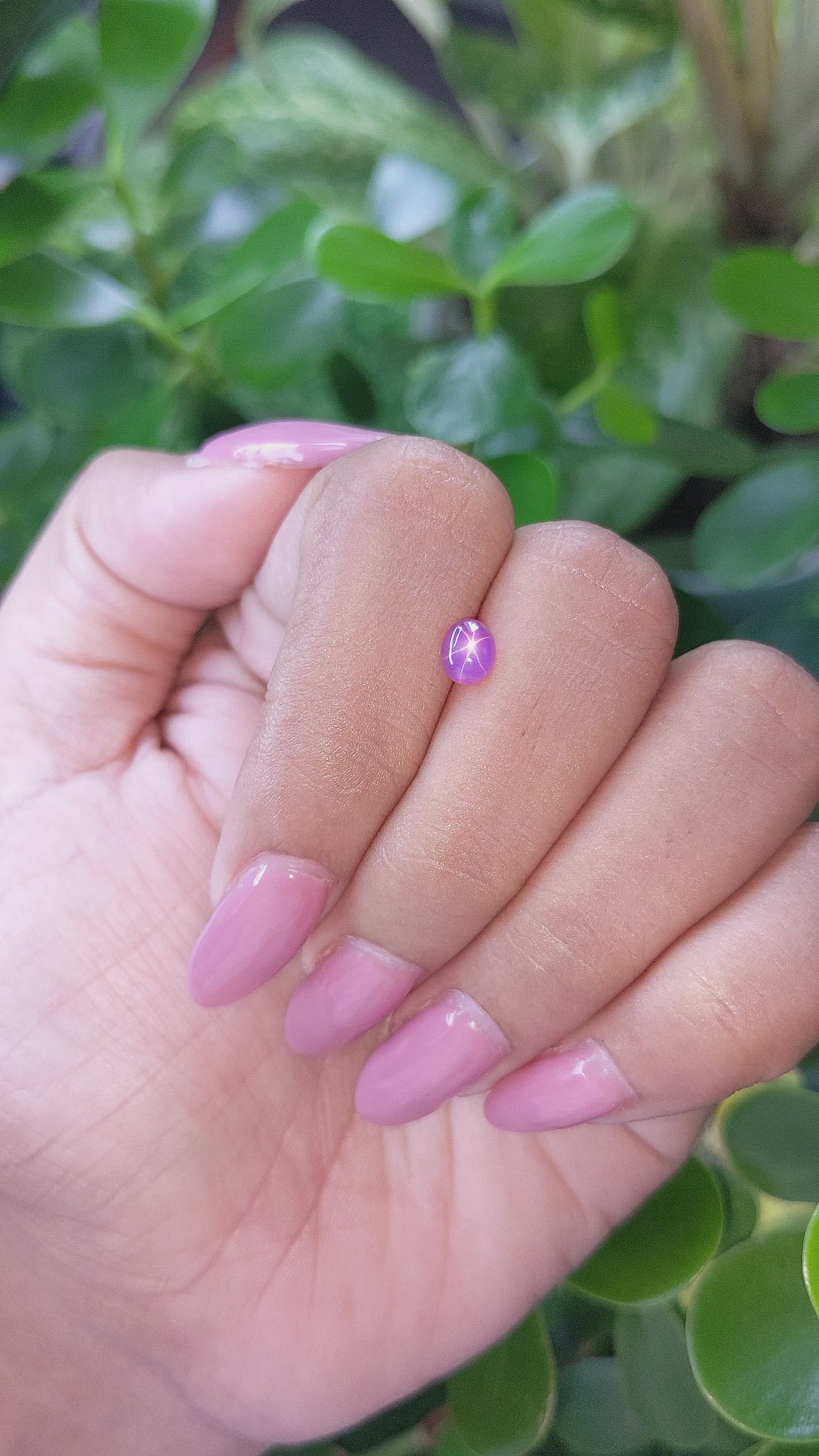 0.83 Ct. Purple Star Sapphire from Ceylon (Sri Lanka) Size Video