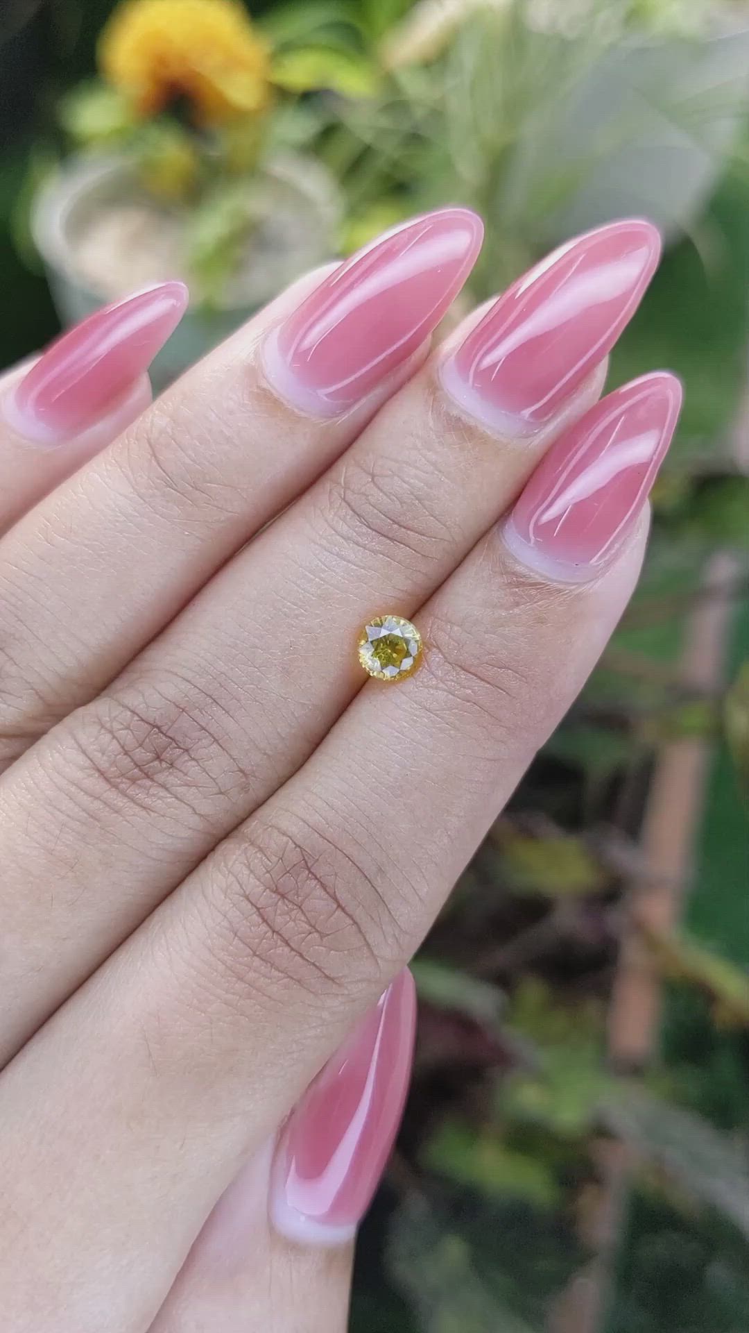 0.73 Ct. Yellow Sapphire from Ceylon (Sri Lanka) Size Video