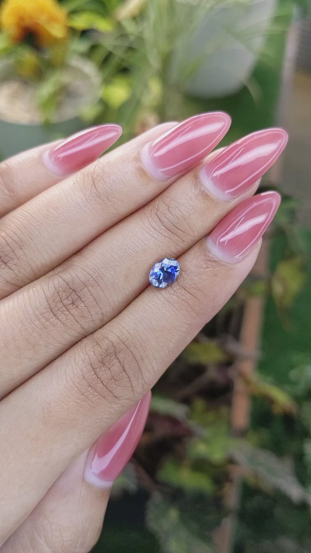 1.17 Ct. Bi Color Sapphire from Ceylon (Sri Lanka) Size Video