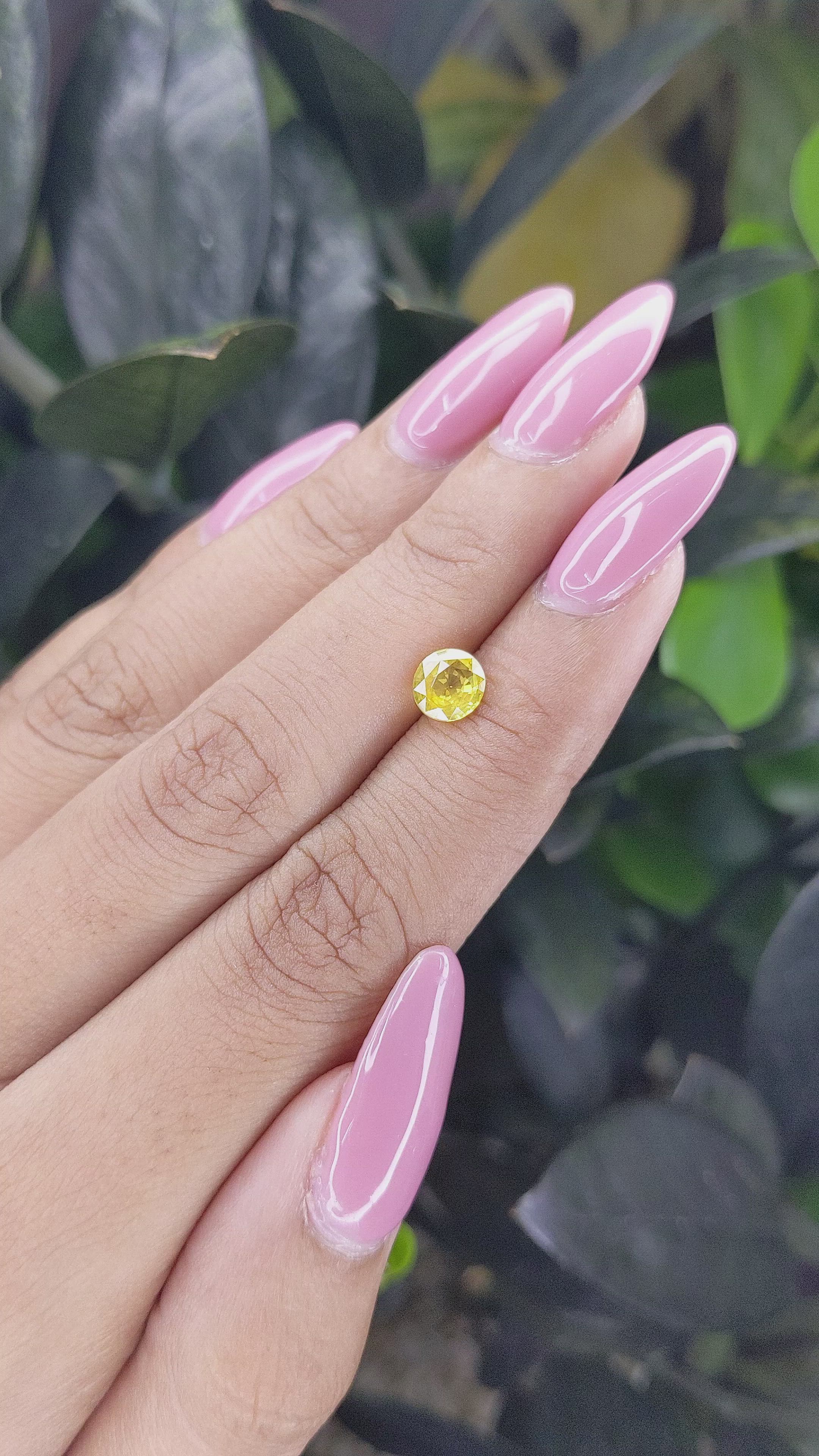 1.11 Ct. Yellow Sapphire from Ceylon (Sri Lanka) Size Video