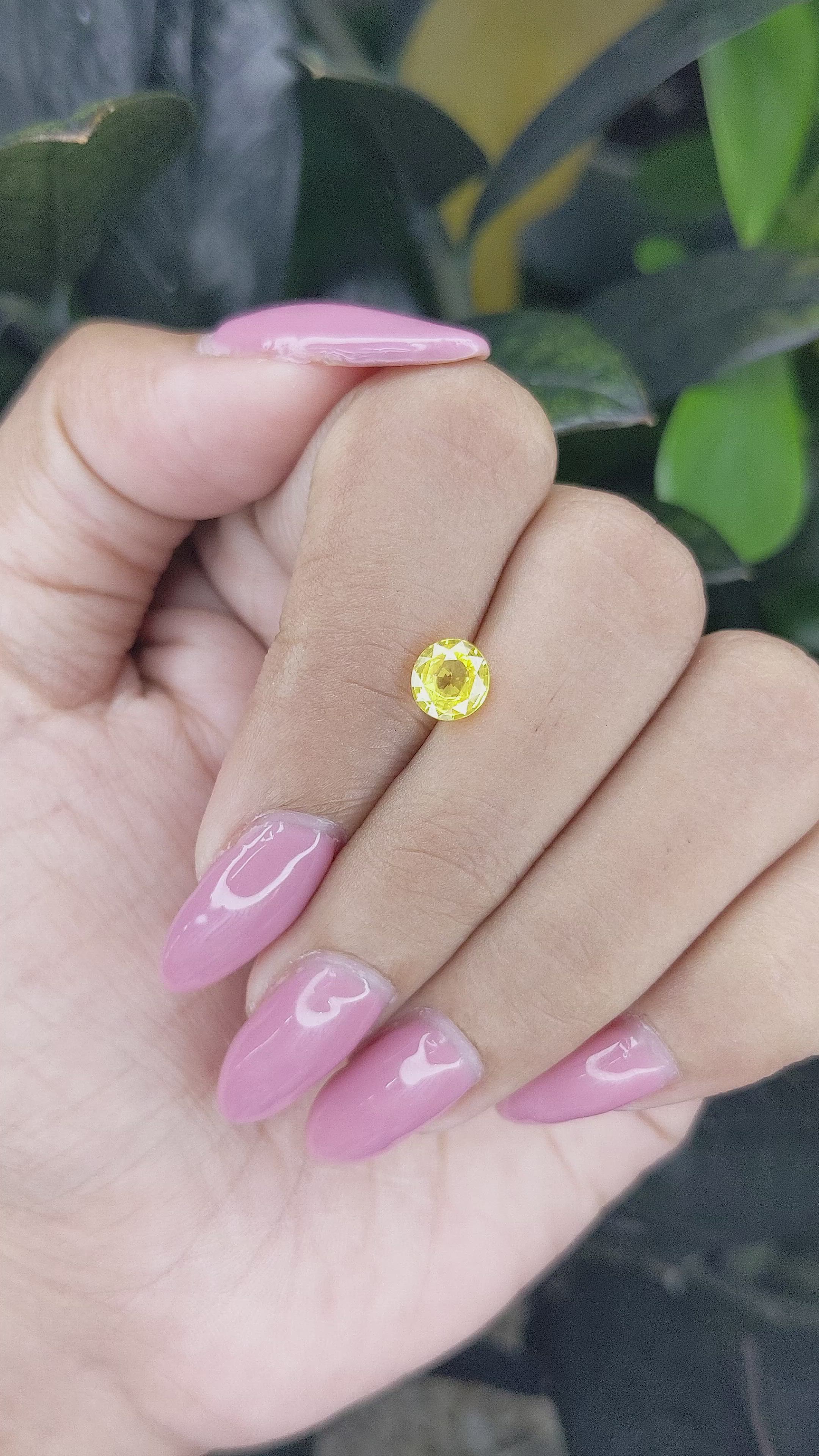 1.11 Ct. Yellow Sapphire from Ceylon (Sri Lanka) Size Video