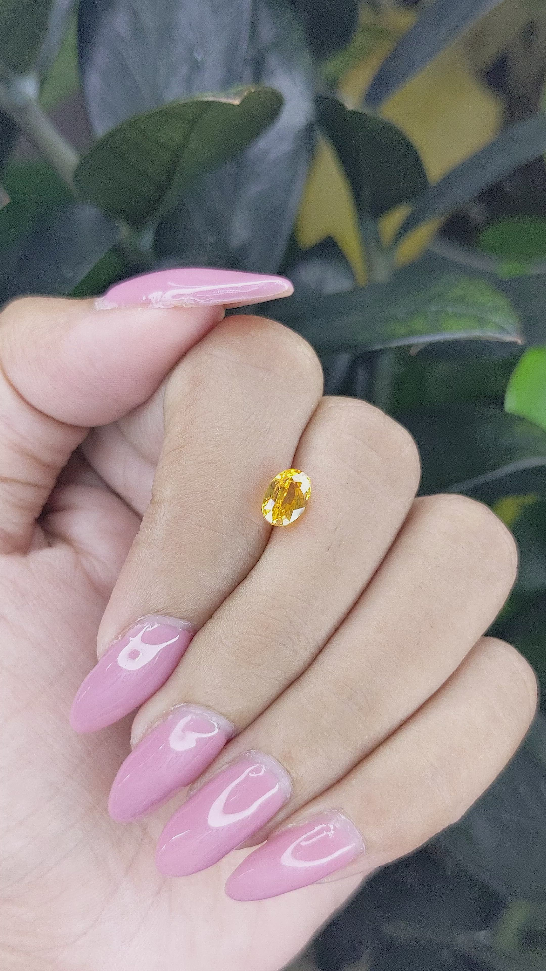 1.30 Ct. Orangish Yellow Sapphire from Ceylon (Sri Lanka) Size Video