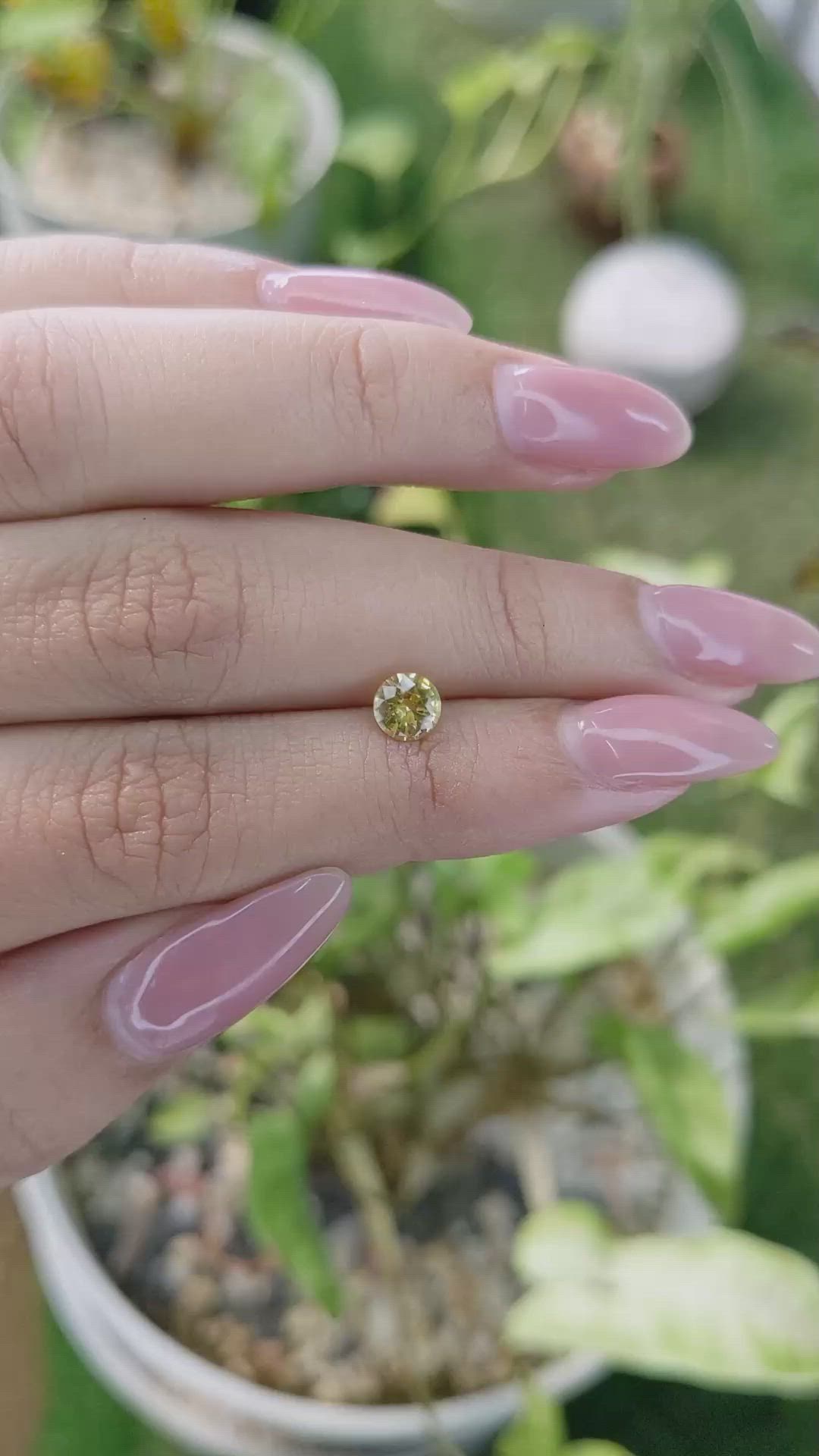 0.72 Ct. Yellow Sapphire from Ceylon (Sri Lanka) Size Video