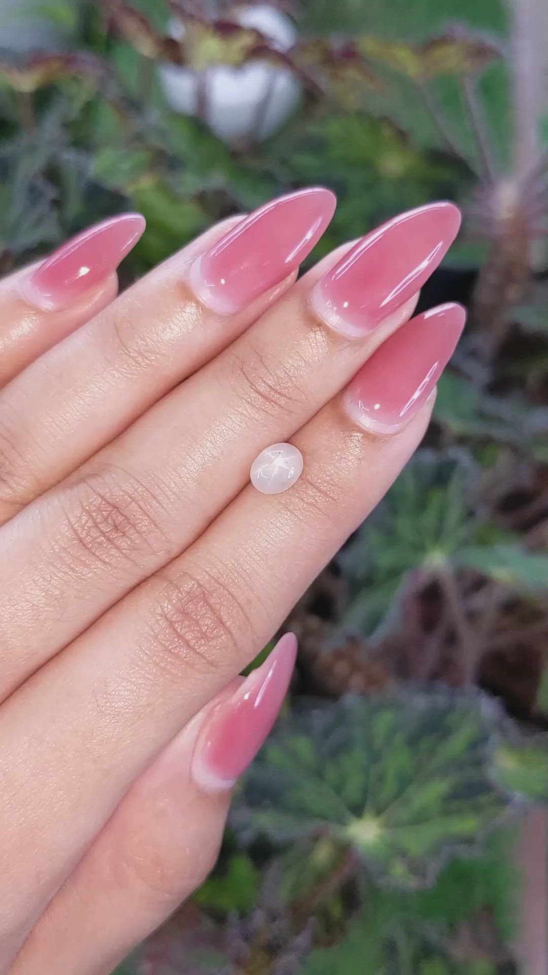 1.47 Ct. Yellow Star Sapphire from Ceylon (Sri Lanka) Size Video