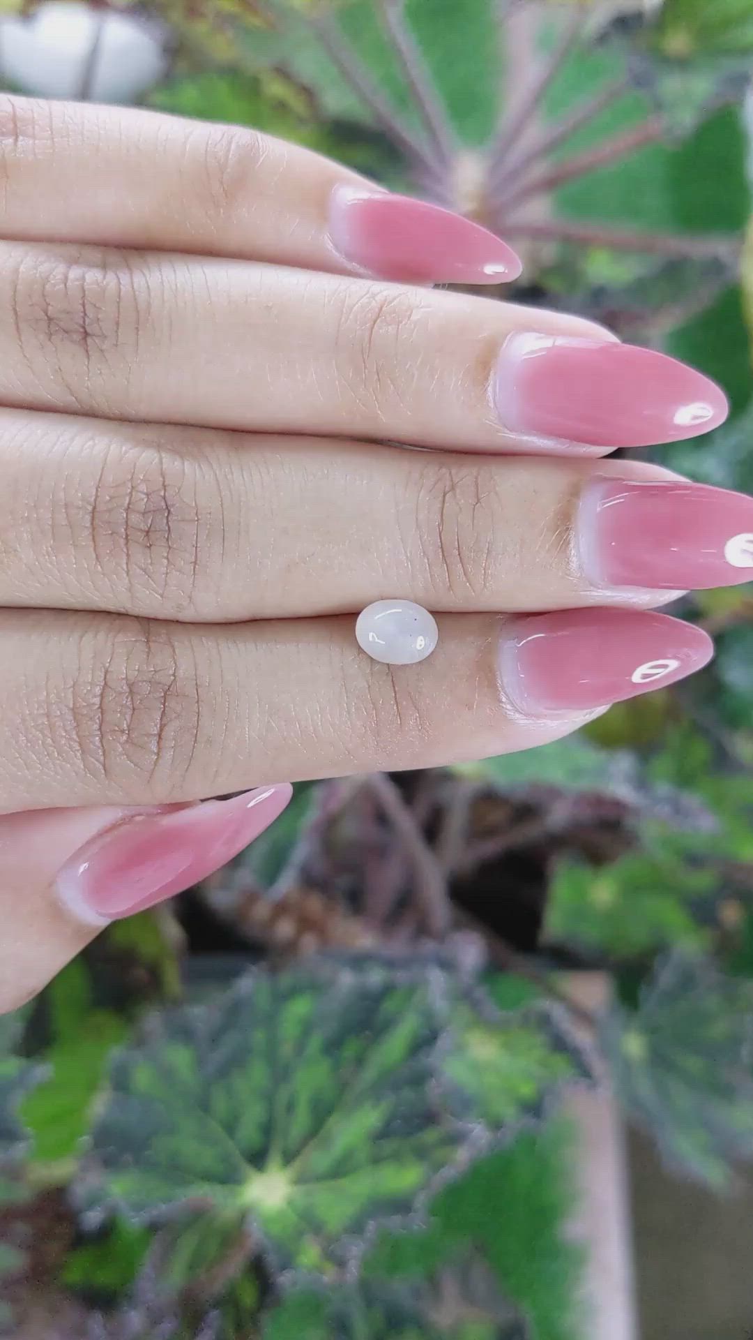 1.47 Ct. Yellow Star Sapphire from Ceylon (Sri Lanka) Size Video