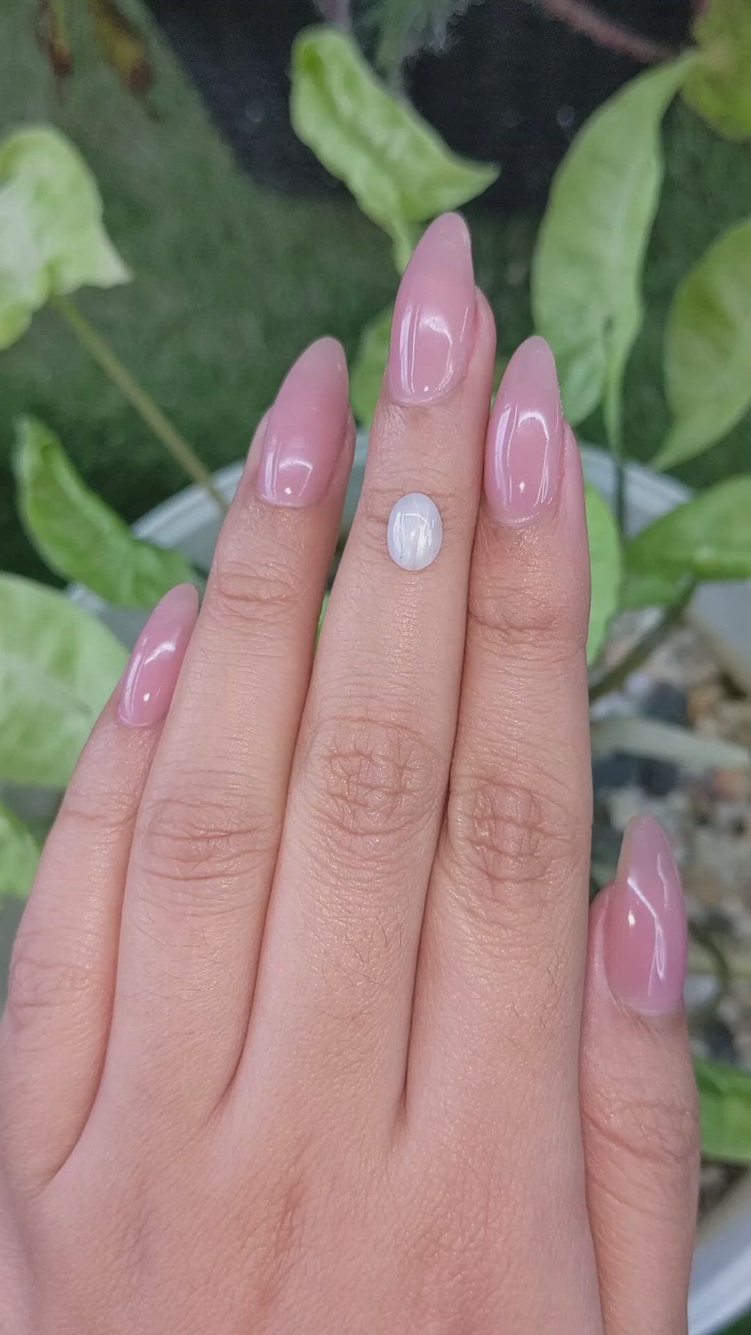 1.67 Ct. Grey Star Sapphire from Ceylon (Sri Lanka) Size Video