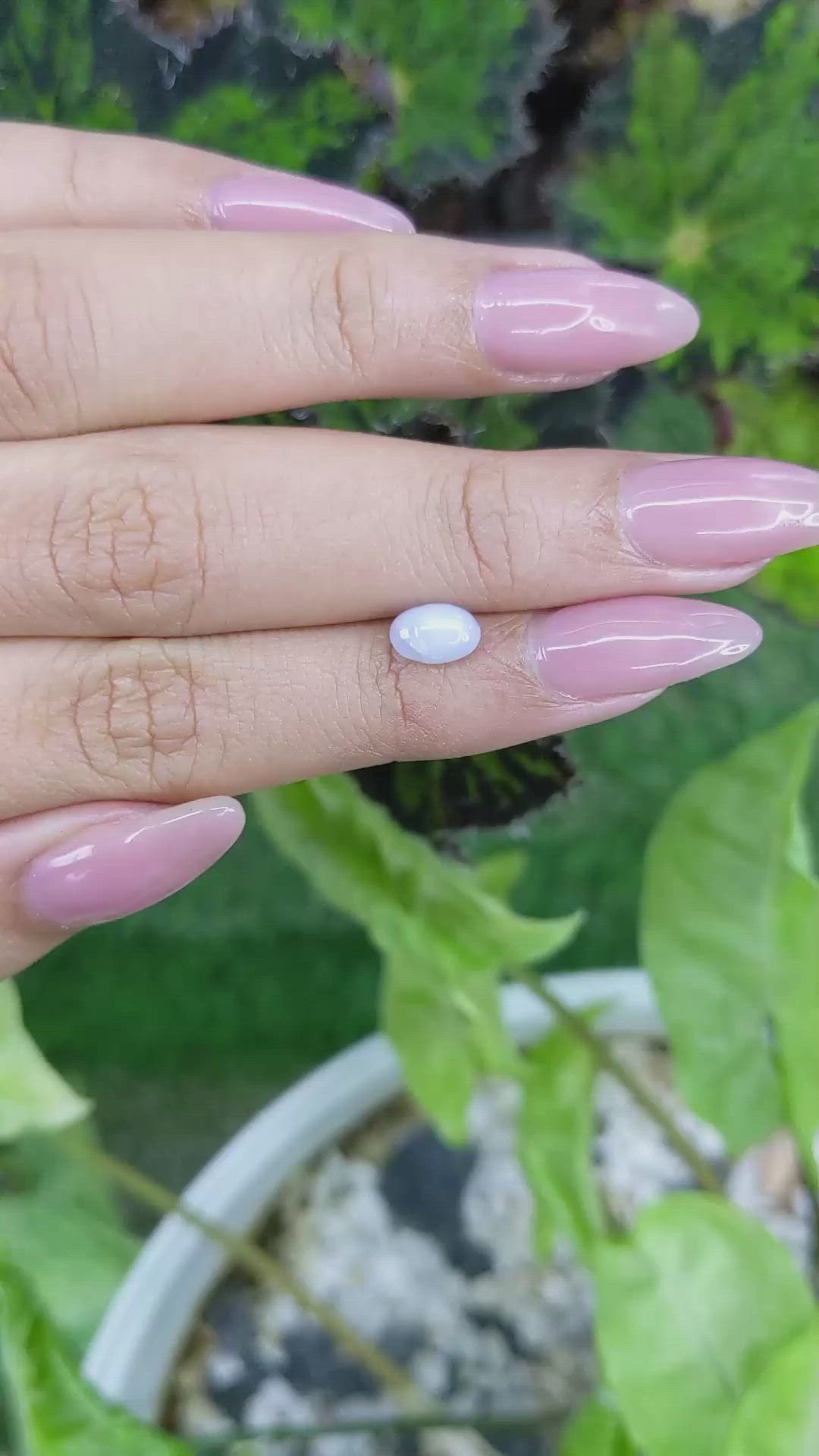 1.52 Ct. Greyish Blue Star Sapphire from Ceylon (Sri Lanka) Size Video