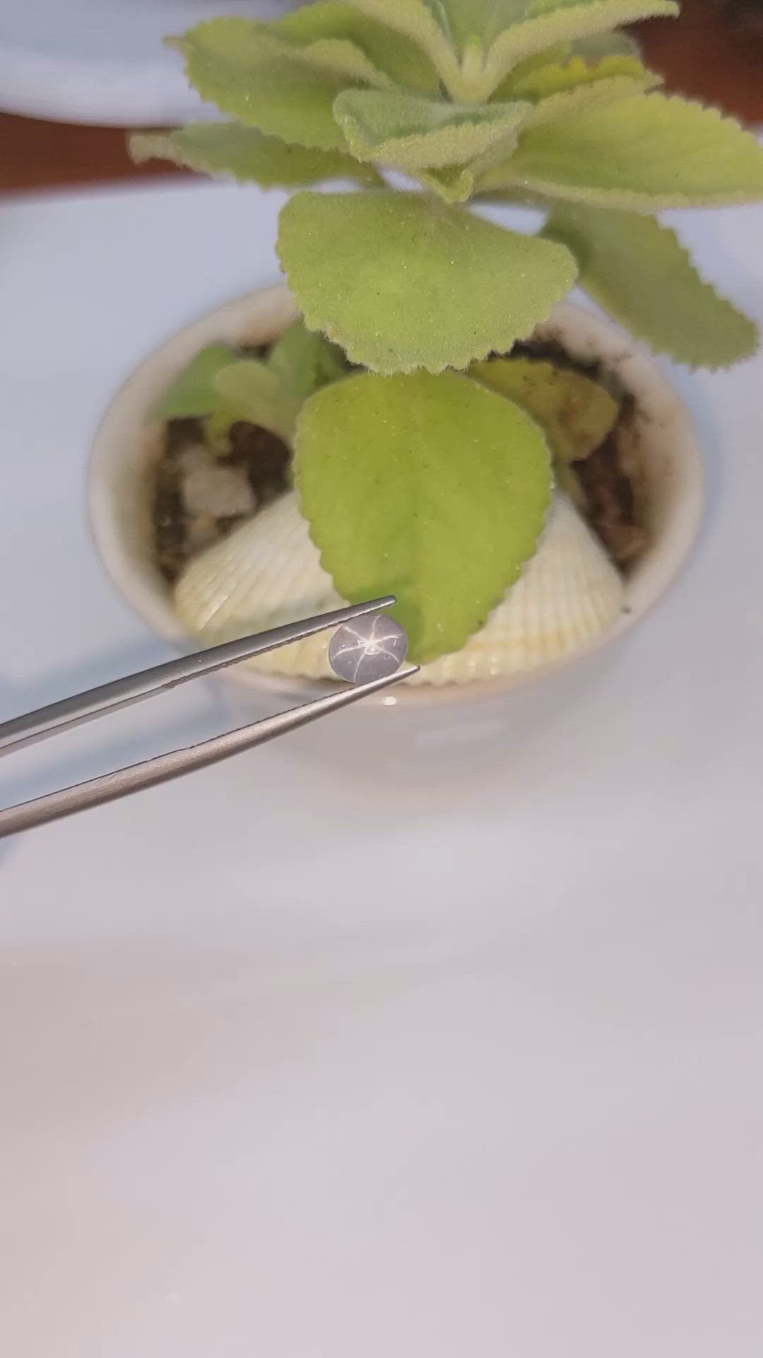 1.26 Ct. Bluish Grey Star Sapphire from Ceylon (Sri Lanka) Size Video