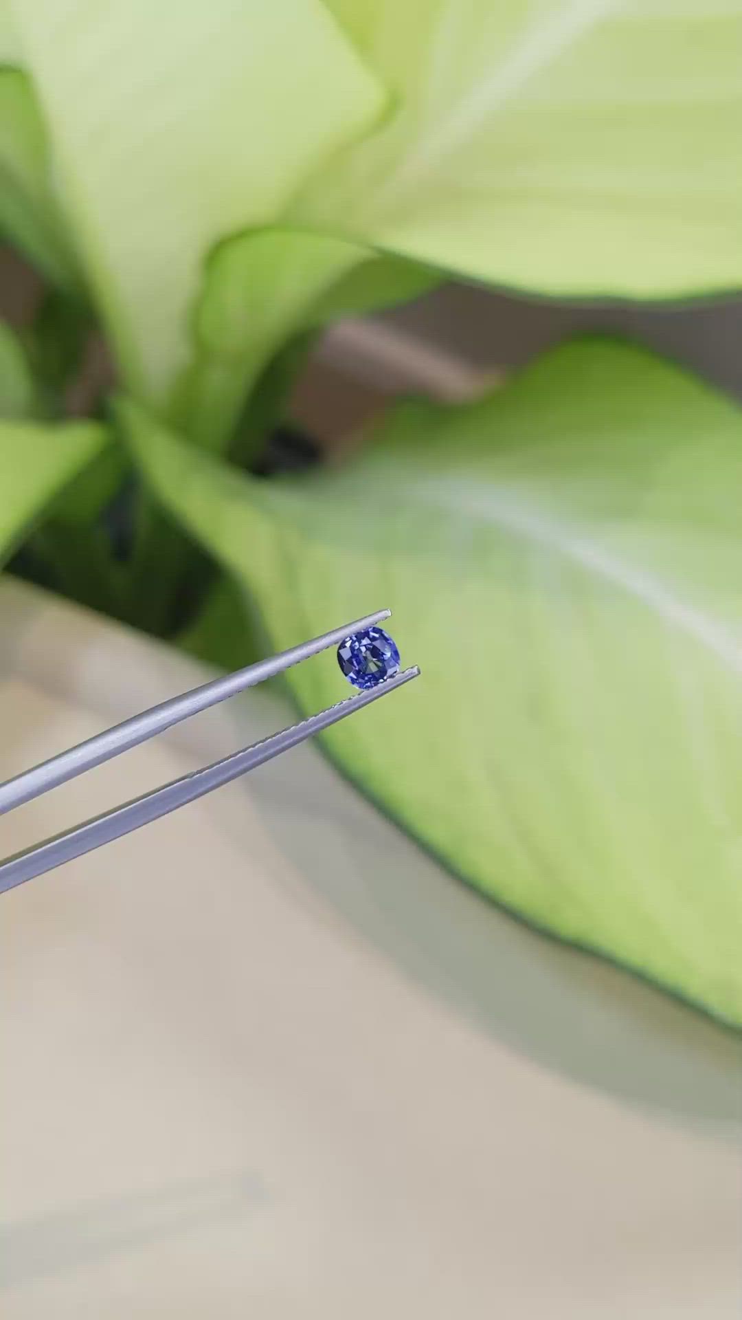 0.53 Ct. Blue Sapphire from Ceylon (Sri Lanka) Size Video