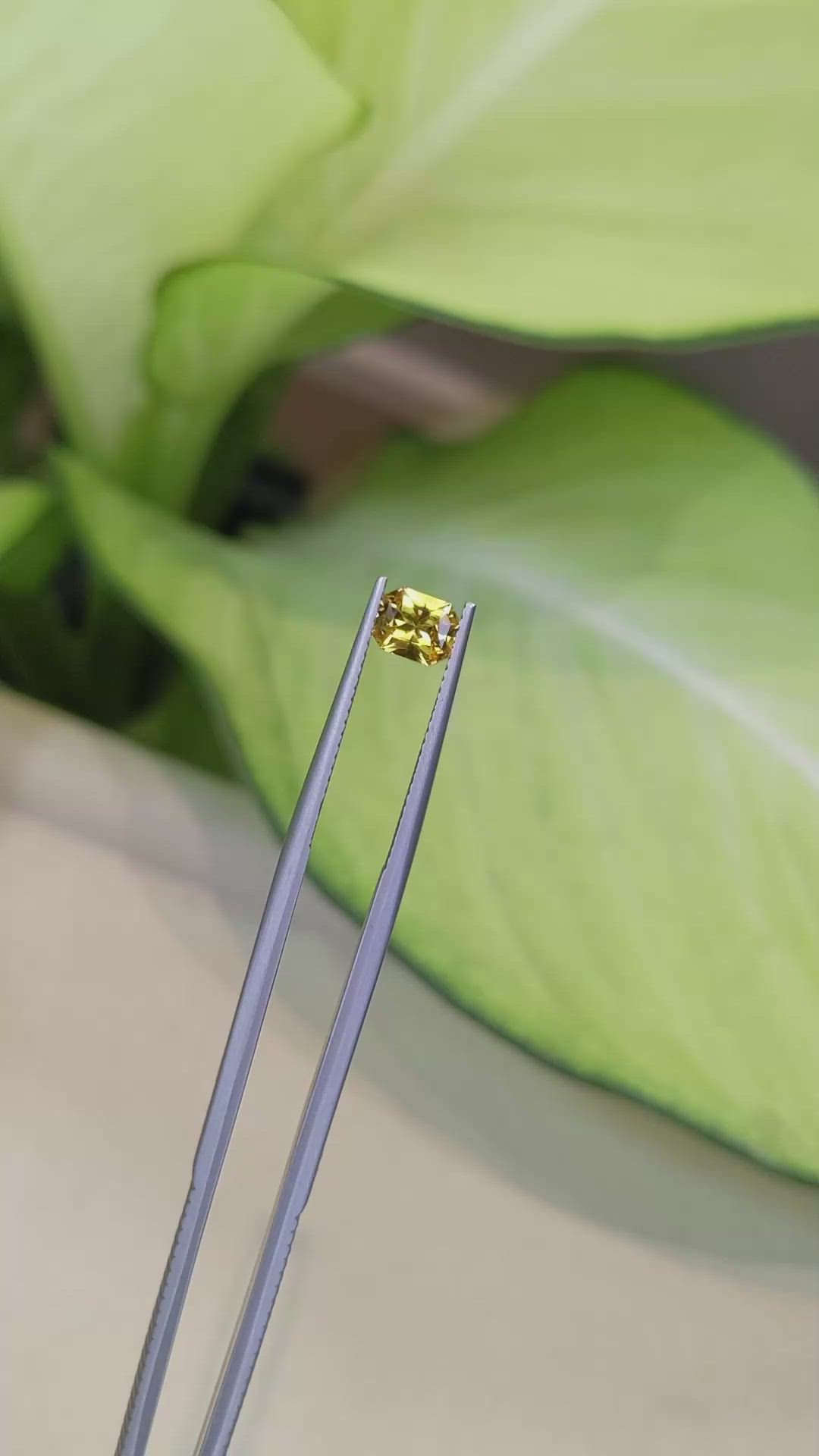 0.75 Ct. Yellow Sapphire from Ceylon (Sri Lanka) Size Video