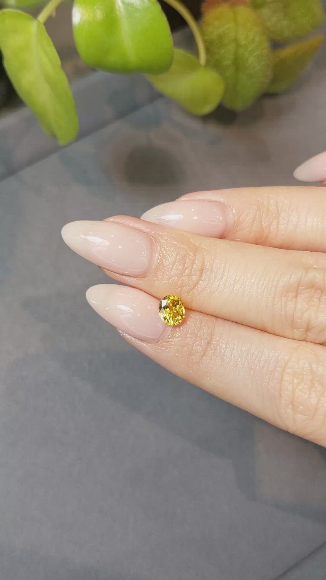 1.04 Ct. Orangish Yellow Sapphire from Ceylon (Sri Lanka) Size Video