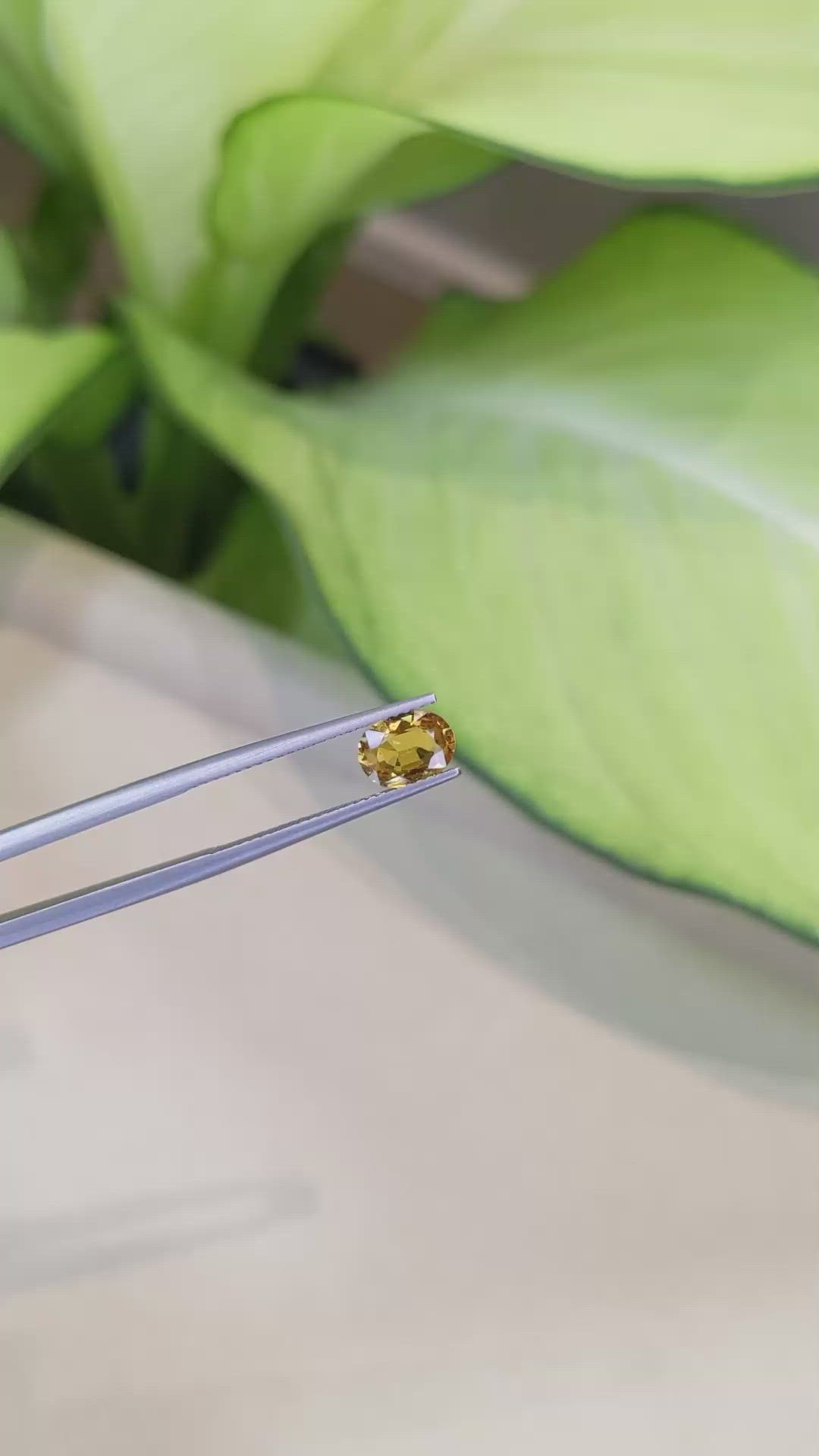 1.12 Ct. Orangish Yellow Sapphire from Ceylon (Sri Lanka) Size Video