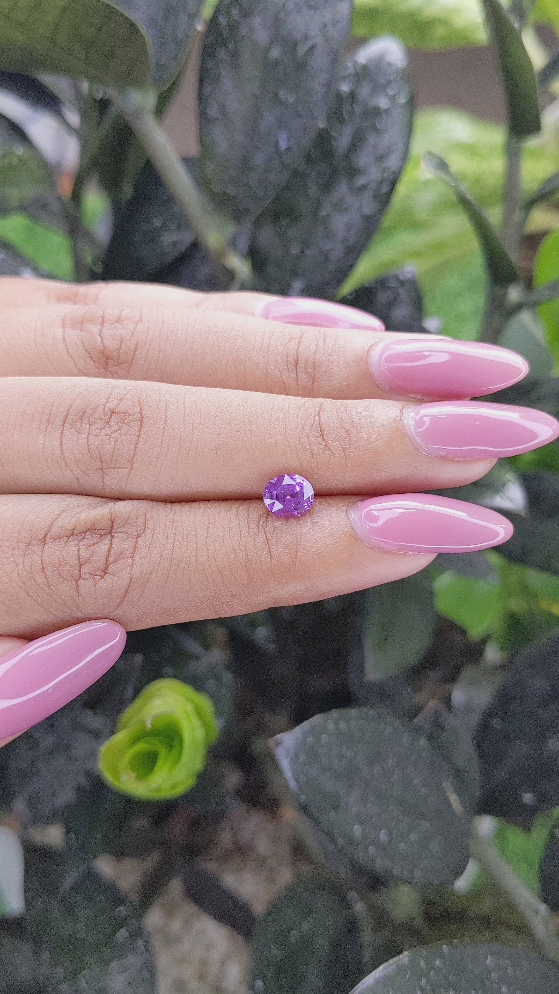 1.10 Ct. Purple Sapphire from Madagascar Size Video