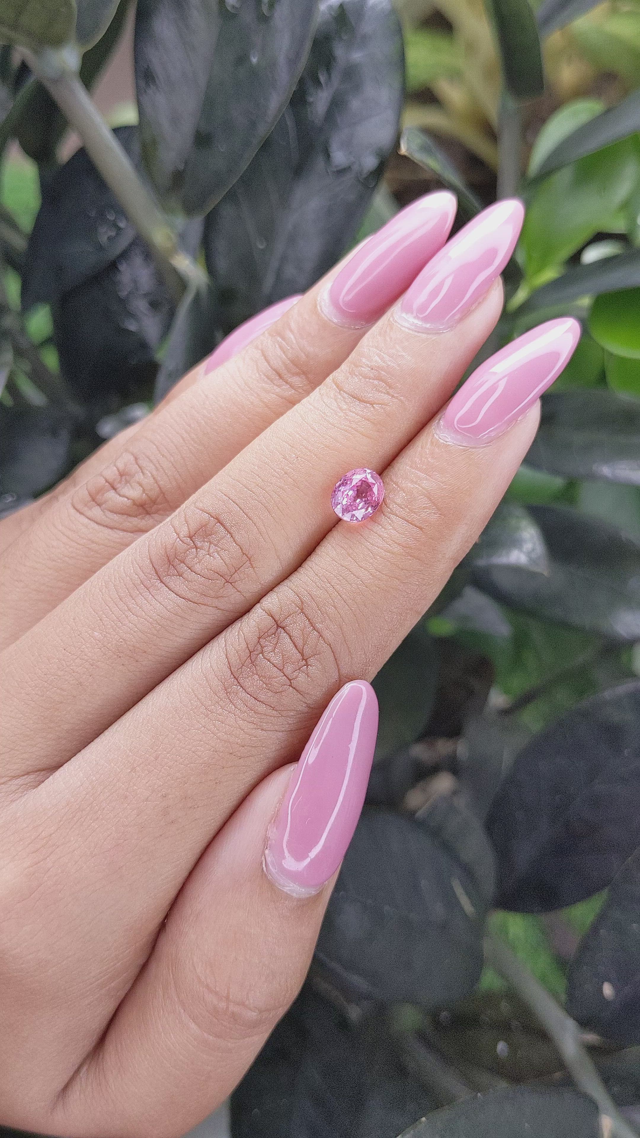 1.53 Ct. Pink Sapphire from Madagascar Size Video