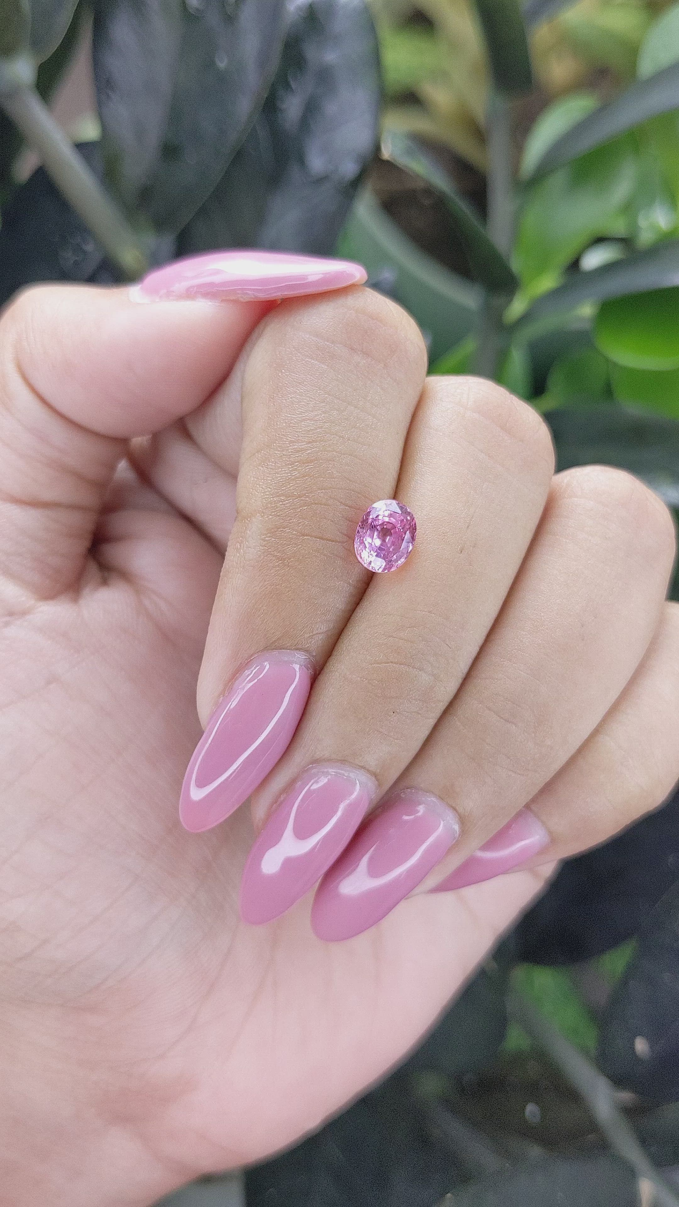 1.53 Ct. Pink Sapphire from Madagascar Size Video