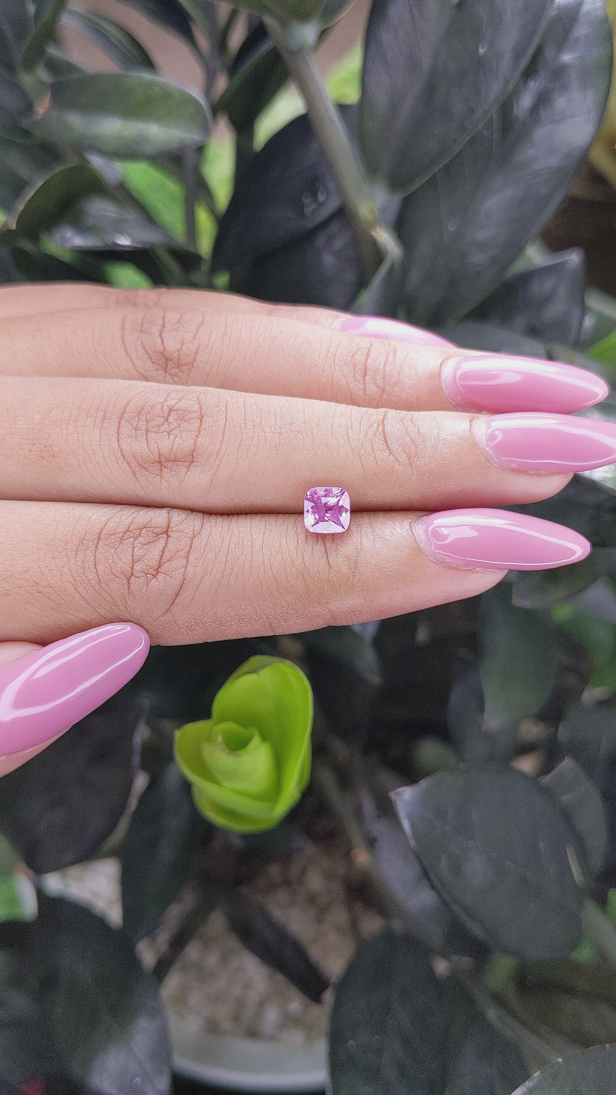 1.20 Ct. Purplish Pink Sapphire from Madagascar Size Video