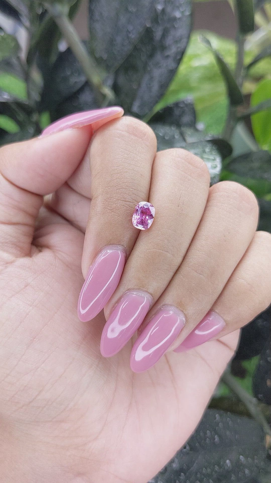 1.55 Ct. Pink Sapphire from Madagascar Size Video