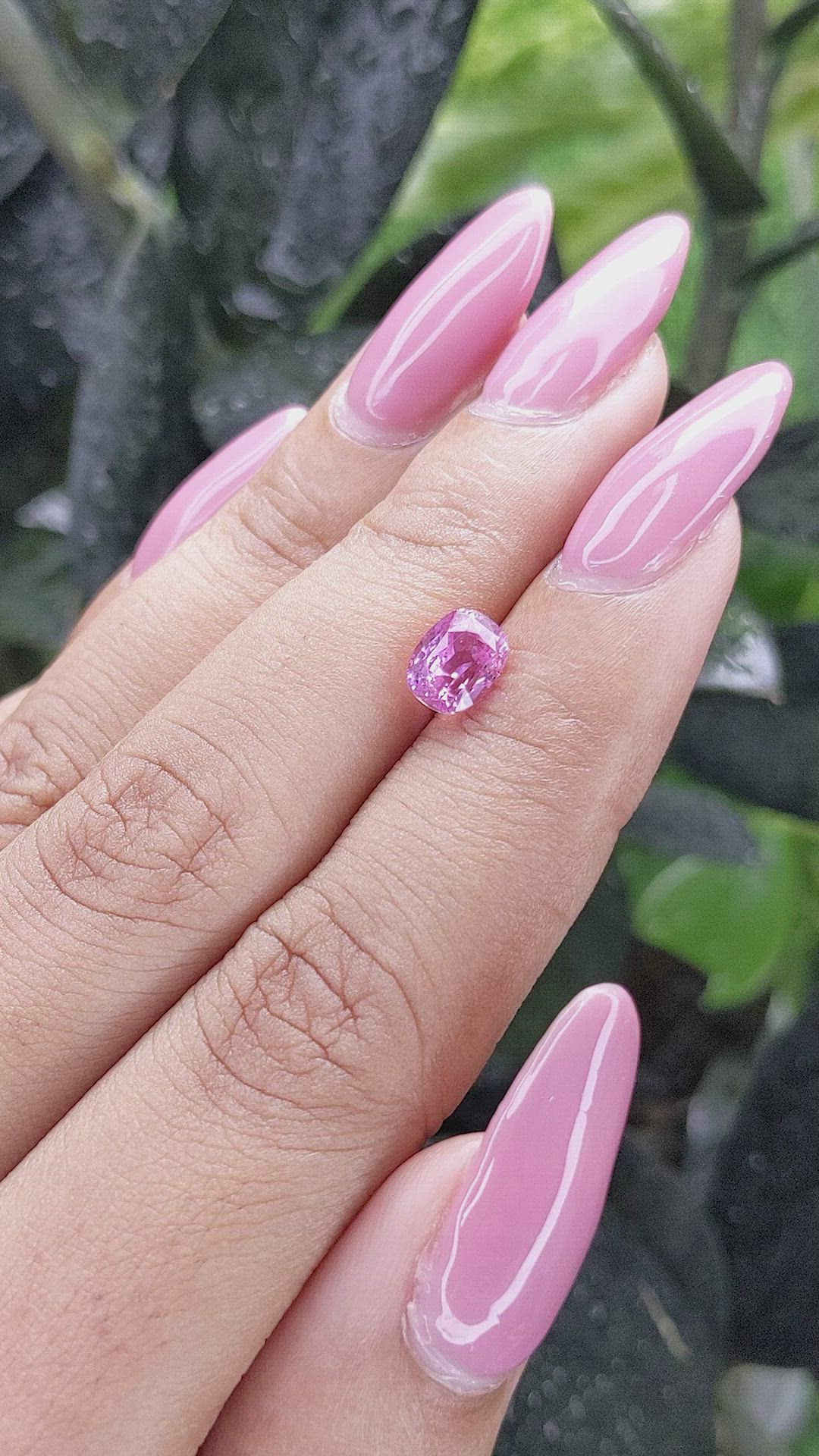 1.55 Ct. Pink Sapphire from Madagascar Size Video
