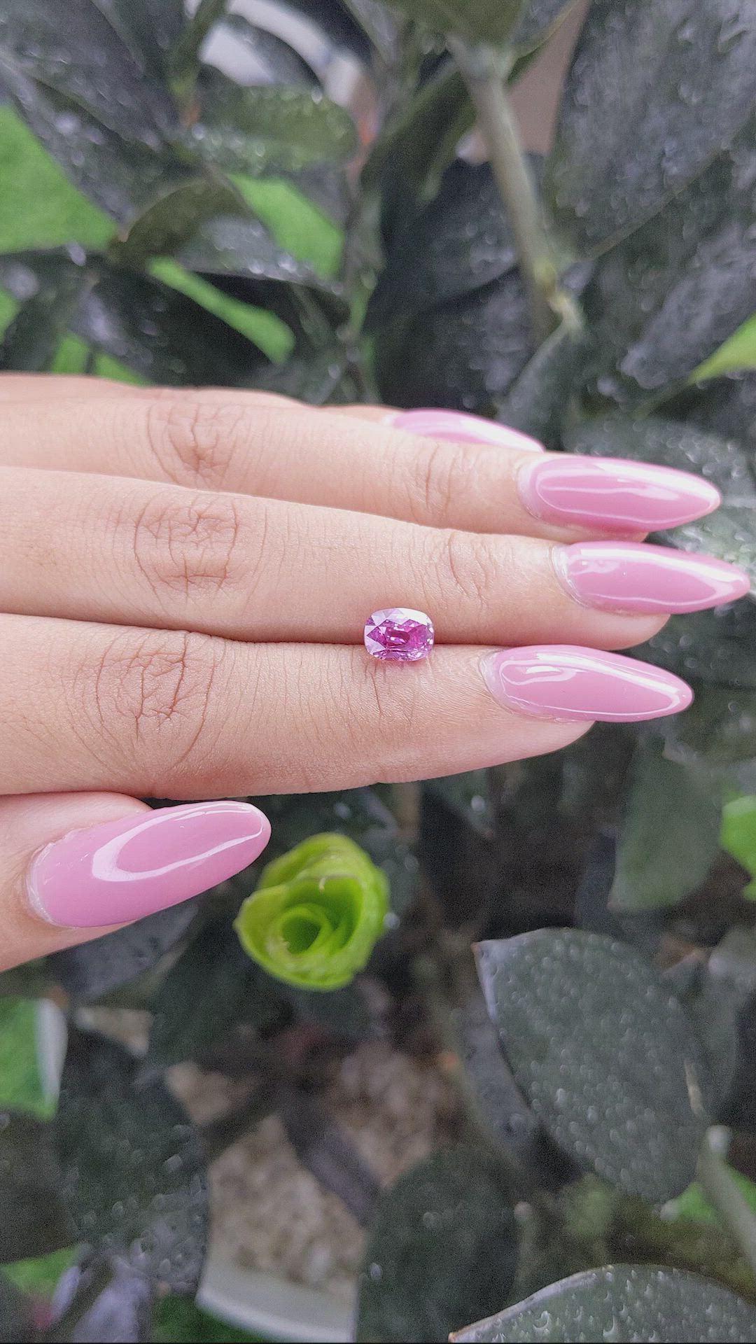 1.55 Ct. Pink Sapphire from Madagascar Size Video