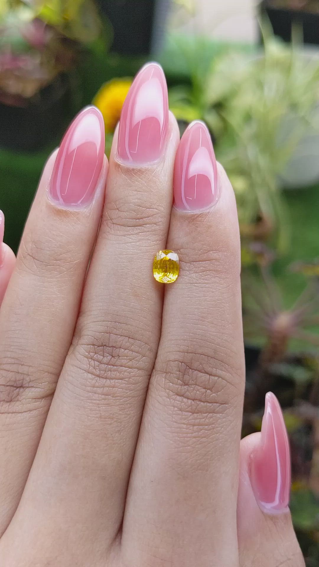 0.83 Ct. Yellow Sapphire from Ceylon (Sri Lanka) Size Video